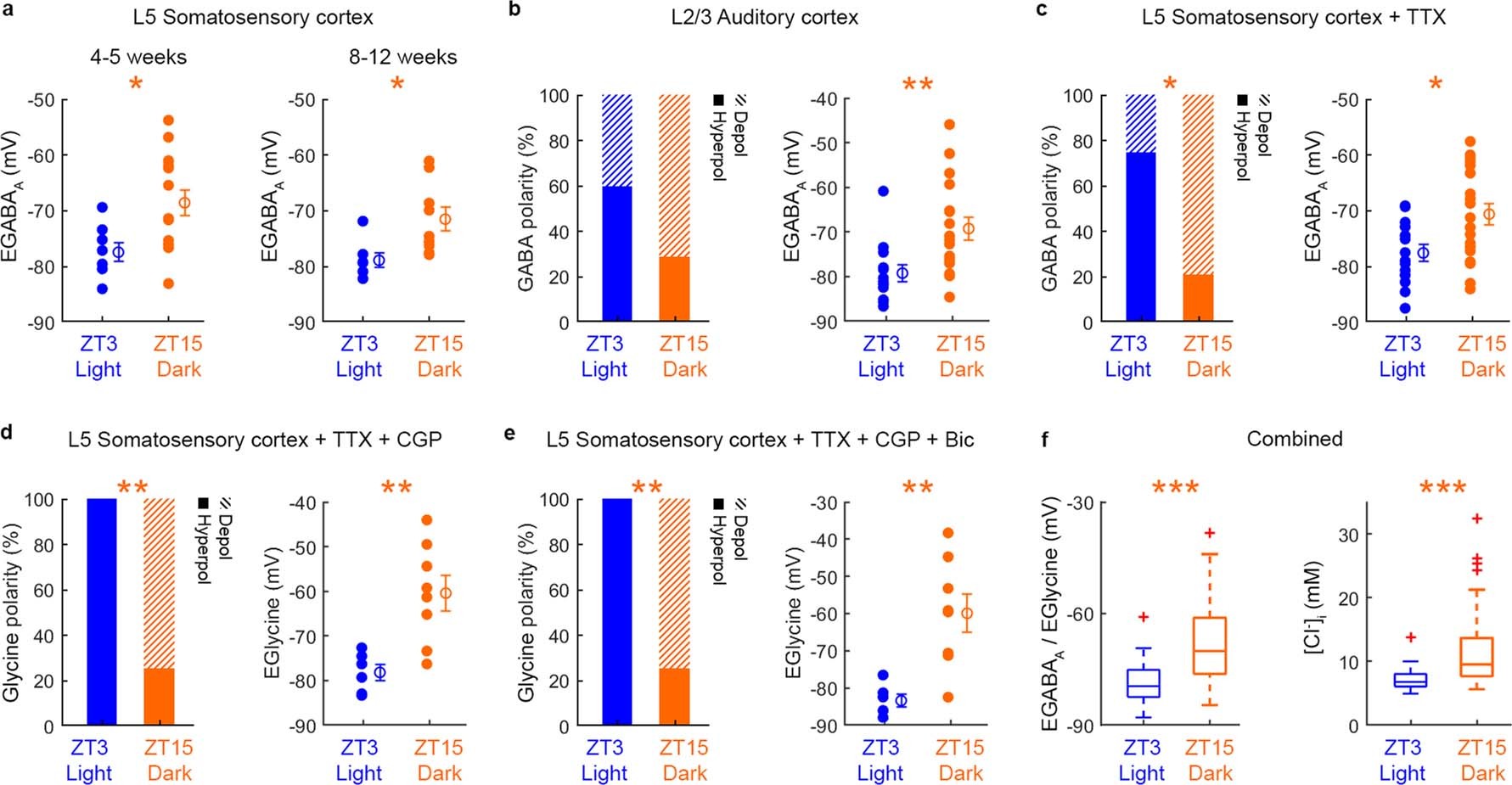 Extended Data Fig. 1: Cortical pyramidal neurons exhibit diurnal variations in EGABAA.