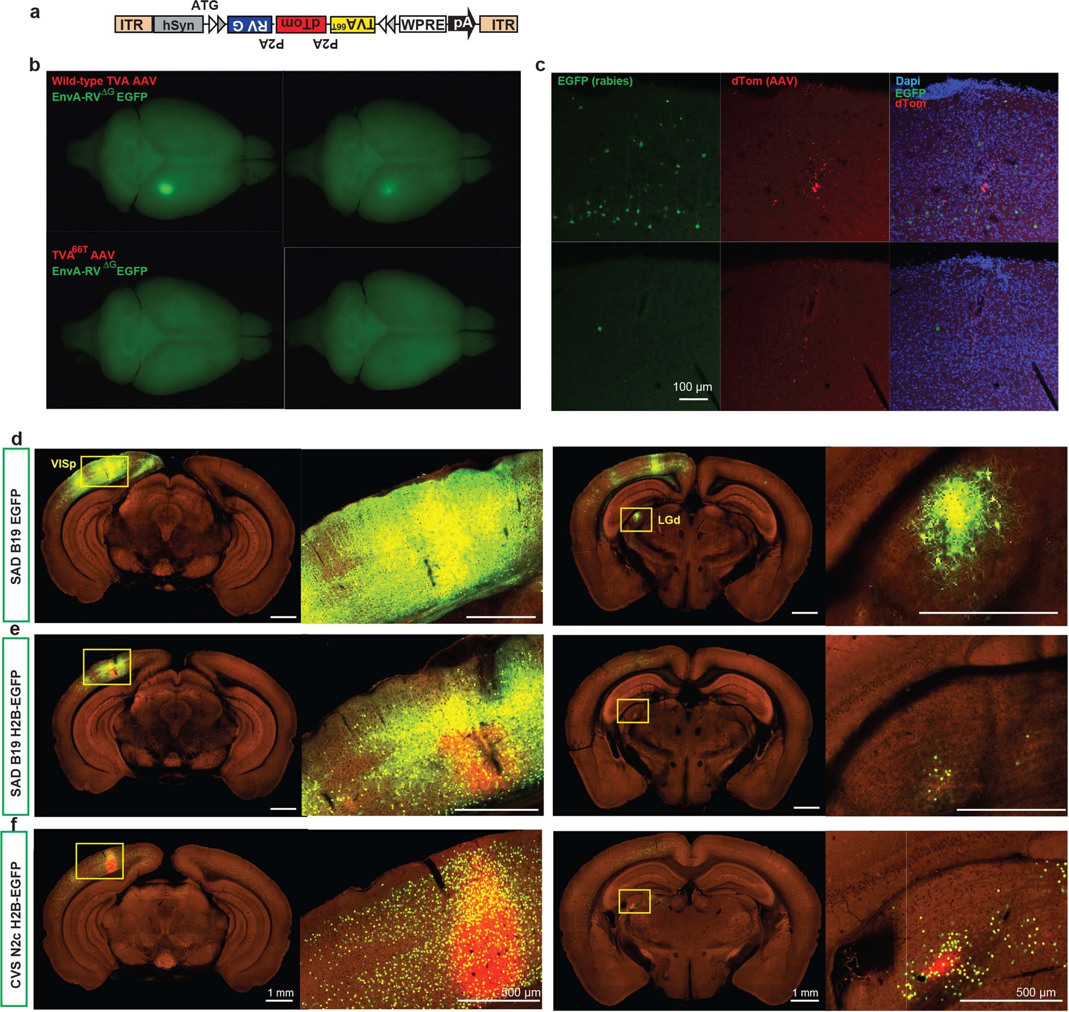 Extended Data Fig. 1