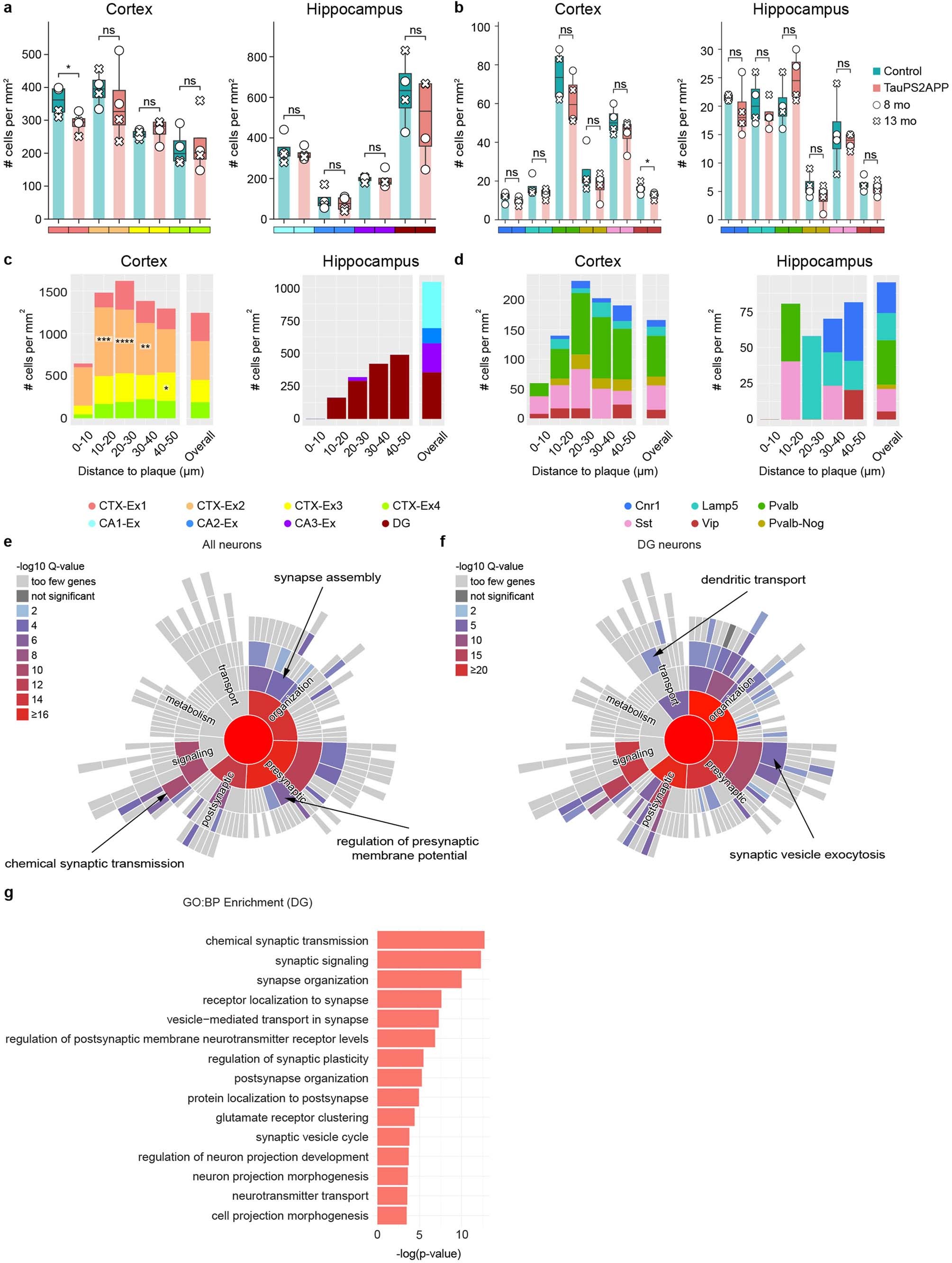 Extended Data Fig. 9: Additional gene expression and spatial analysis of neurons.