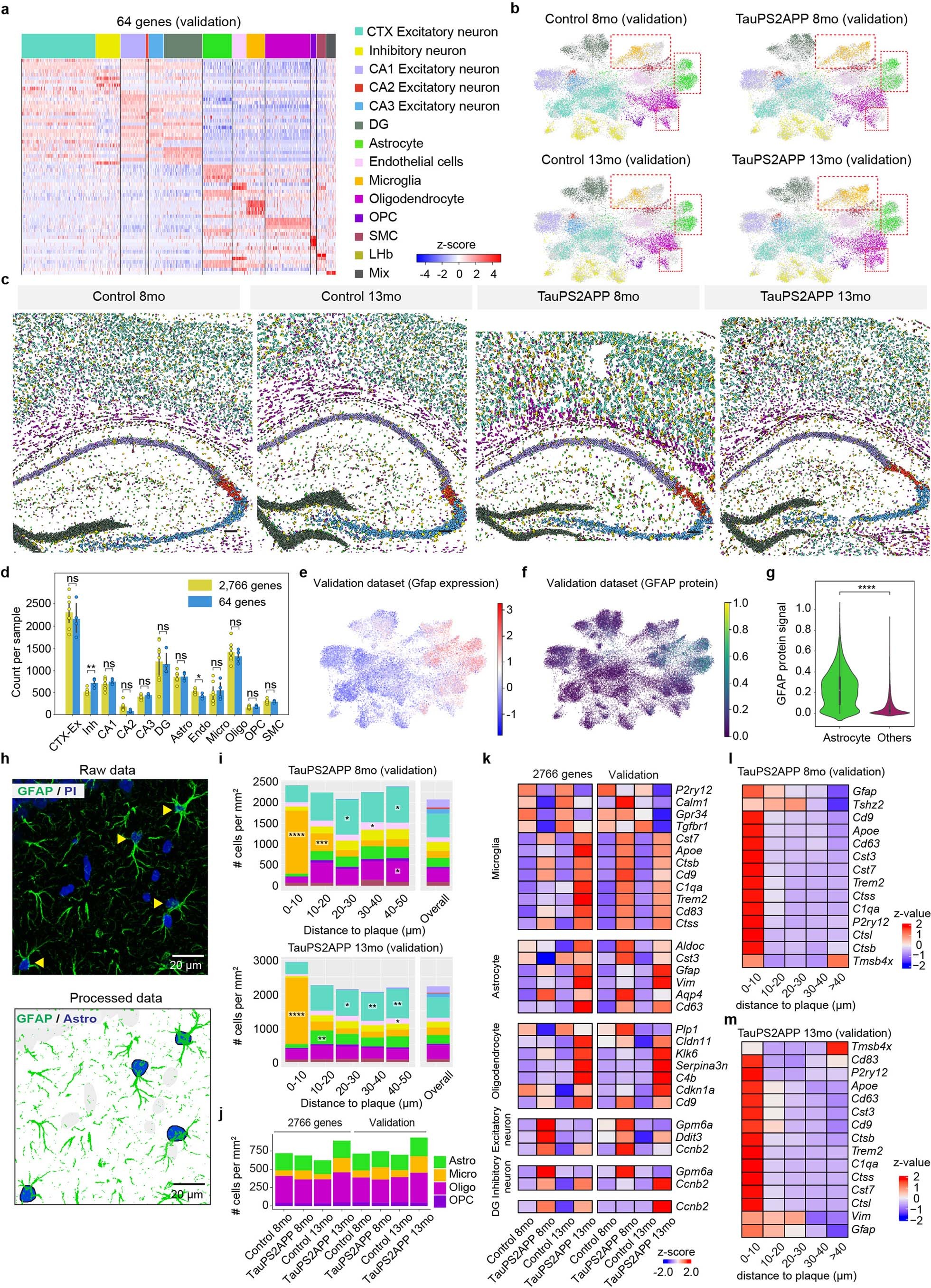 Extended Data Fig. 10: Validation of cell-type composition and spatial gene expression in TauPS2APP mice.