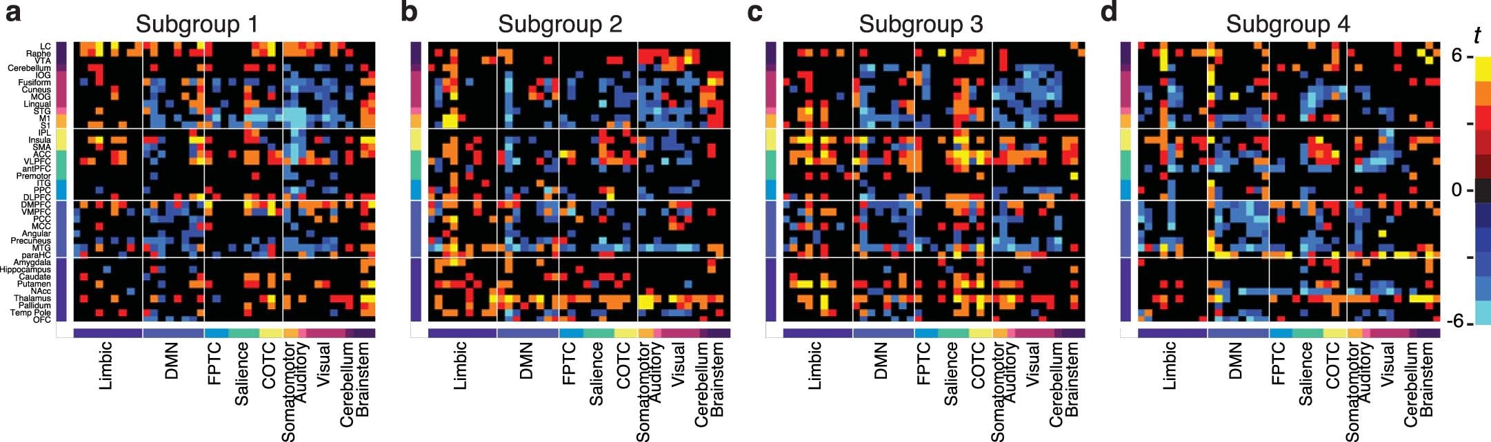 Extended Data Fig. 3: Functional connectivity differences reveal subgroup-specific atypical connectivity.
