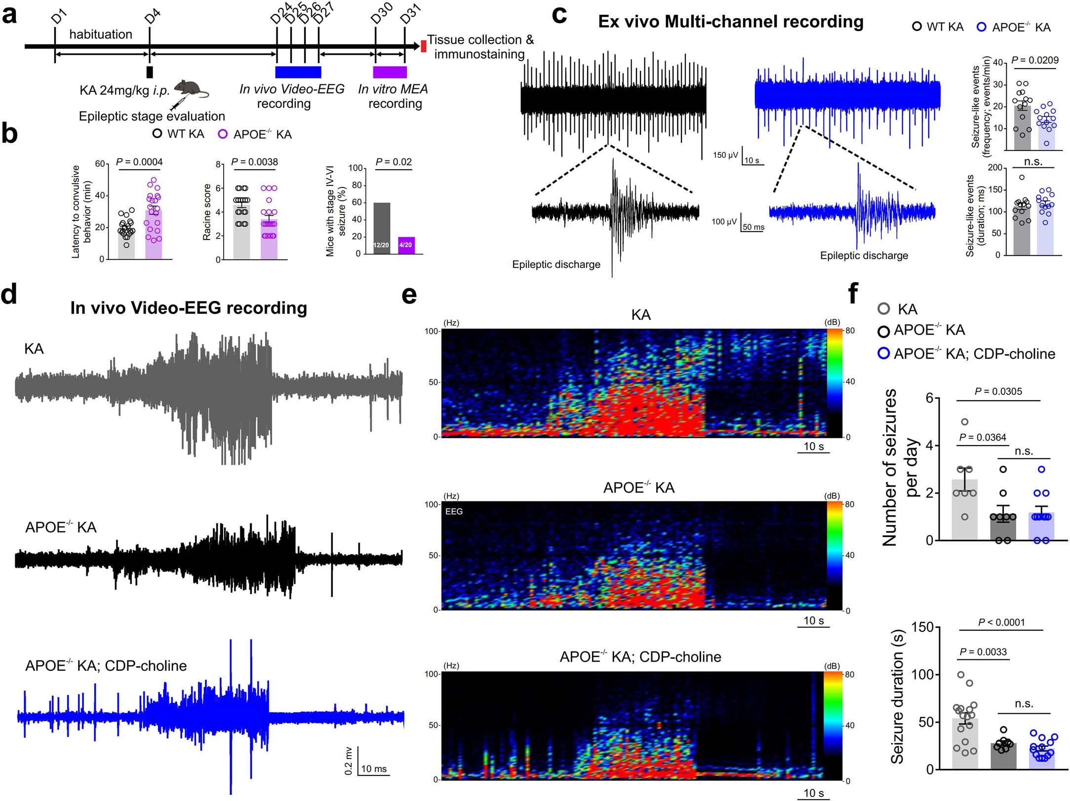 Extended Data Fig. 9: Lipid-accumulated reactive astrocytes promoted both electrographic and behavioral seizures in epileptic mice.