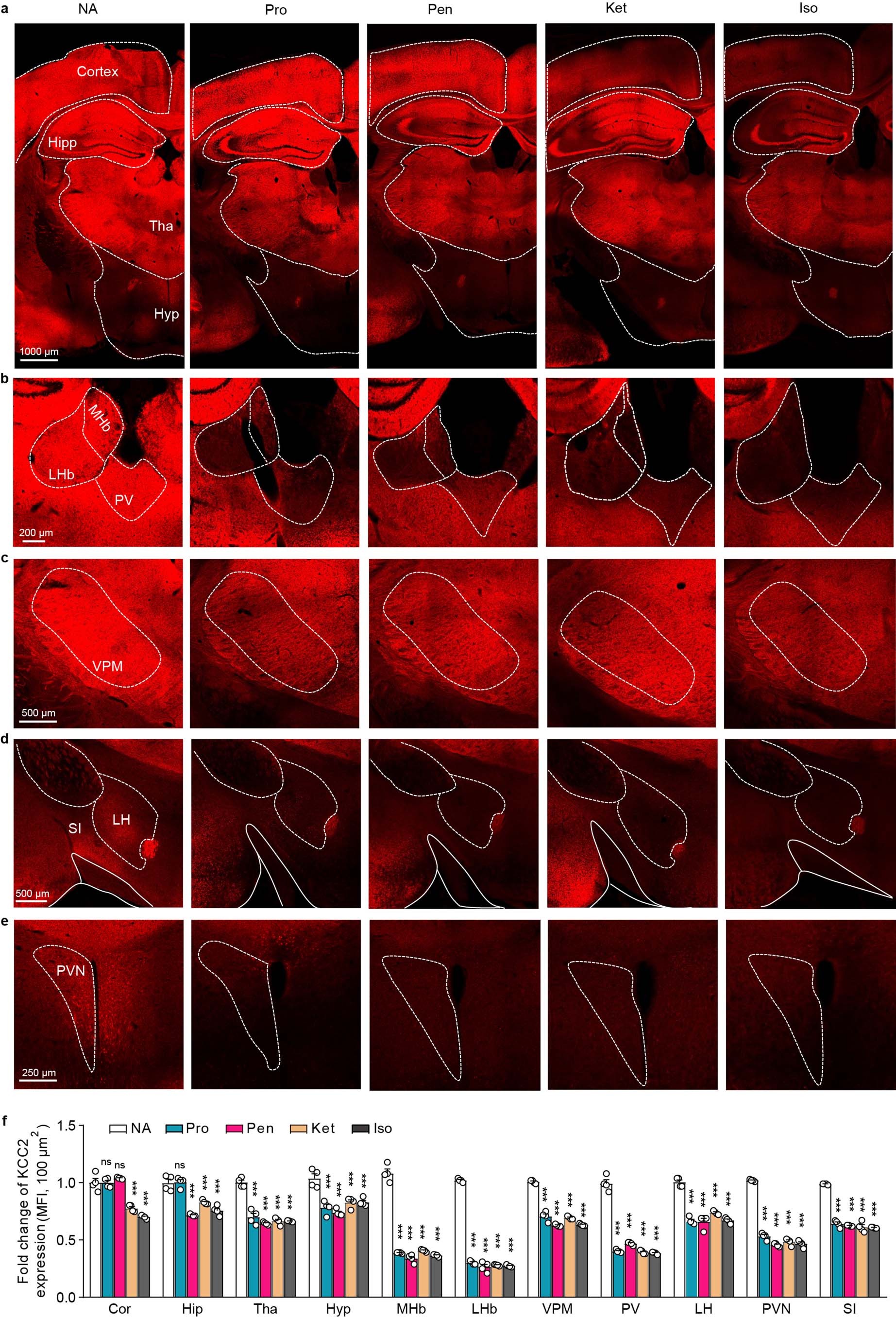 Extended Data Fig. 3