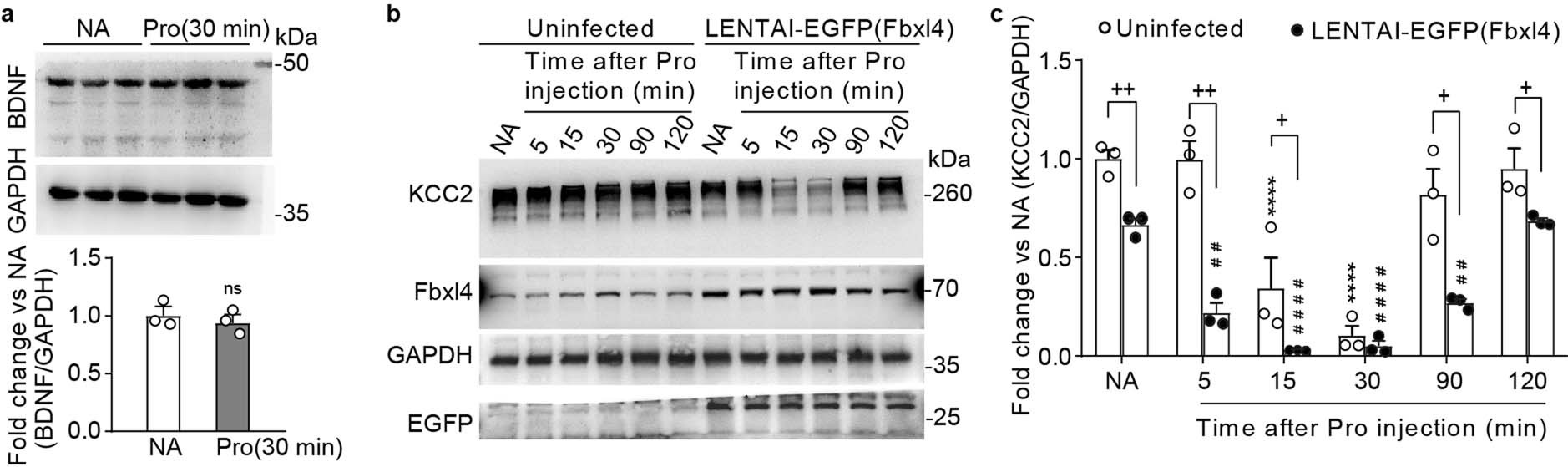 Extended Data Fig. 7