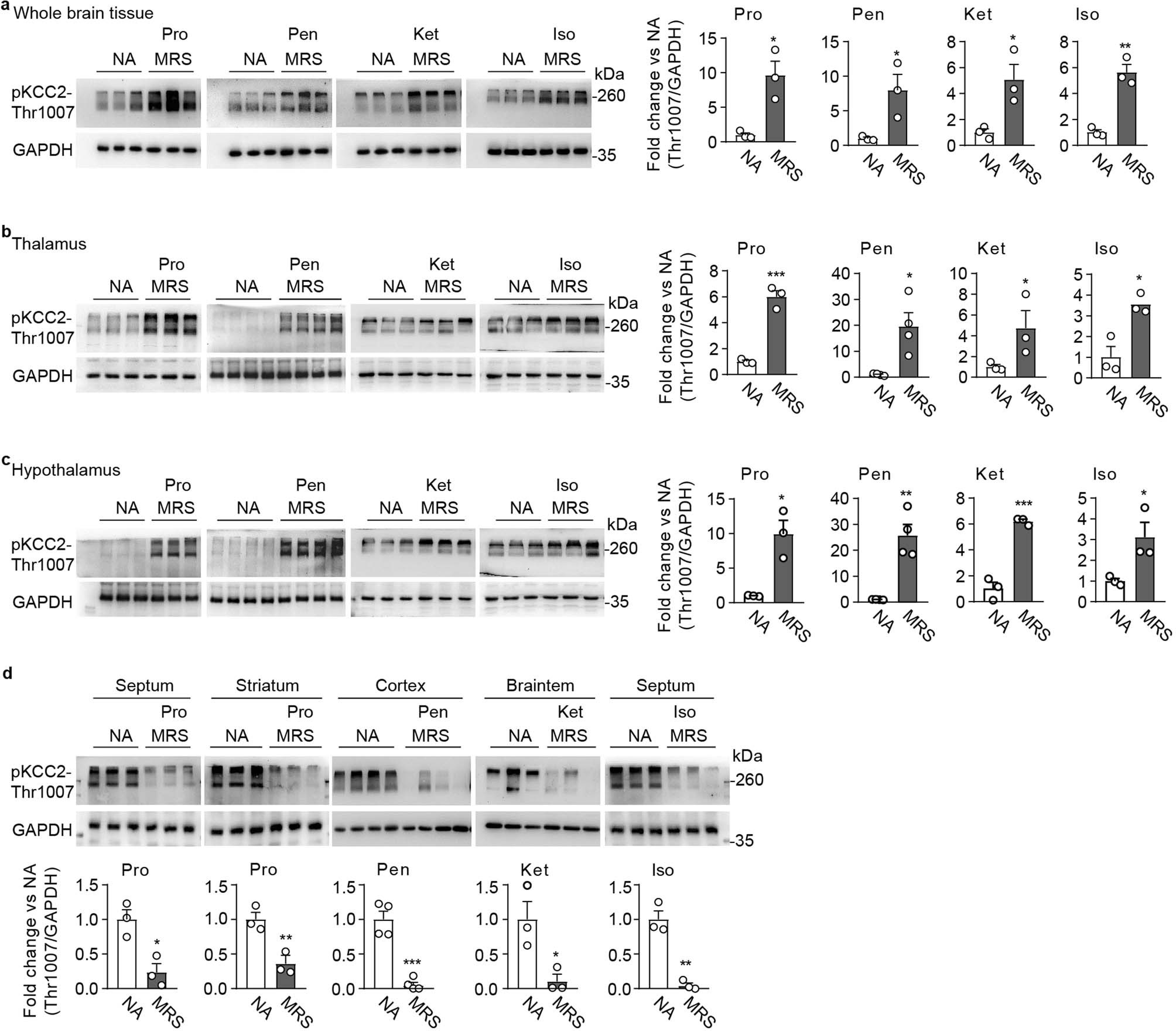 Extended Data Fig. 8