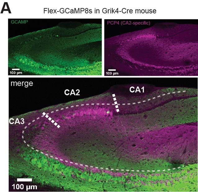 Extended Data Fig. 4