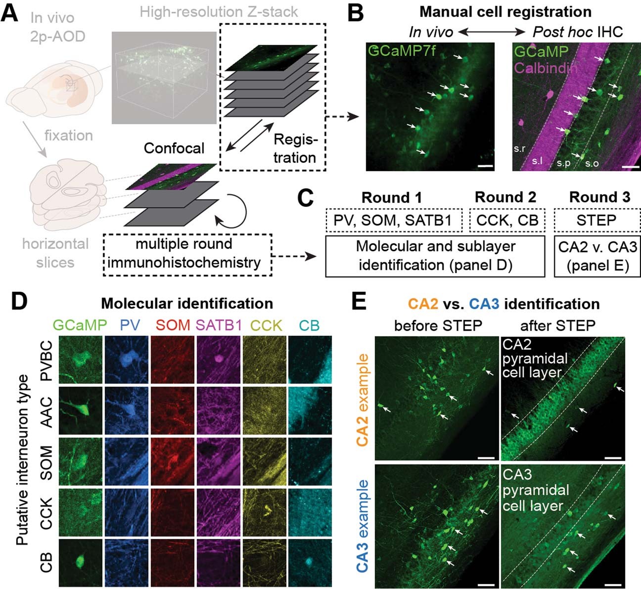Extended Data Fig. 1