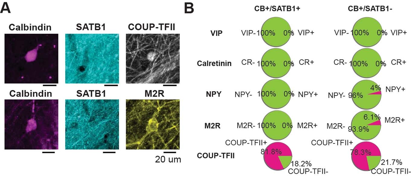 Extended Data Fig. 2