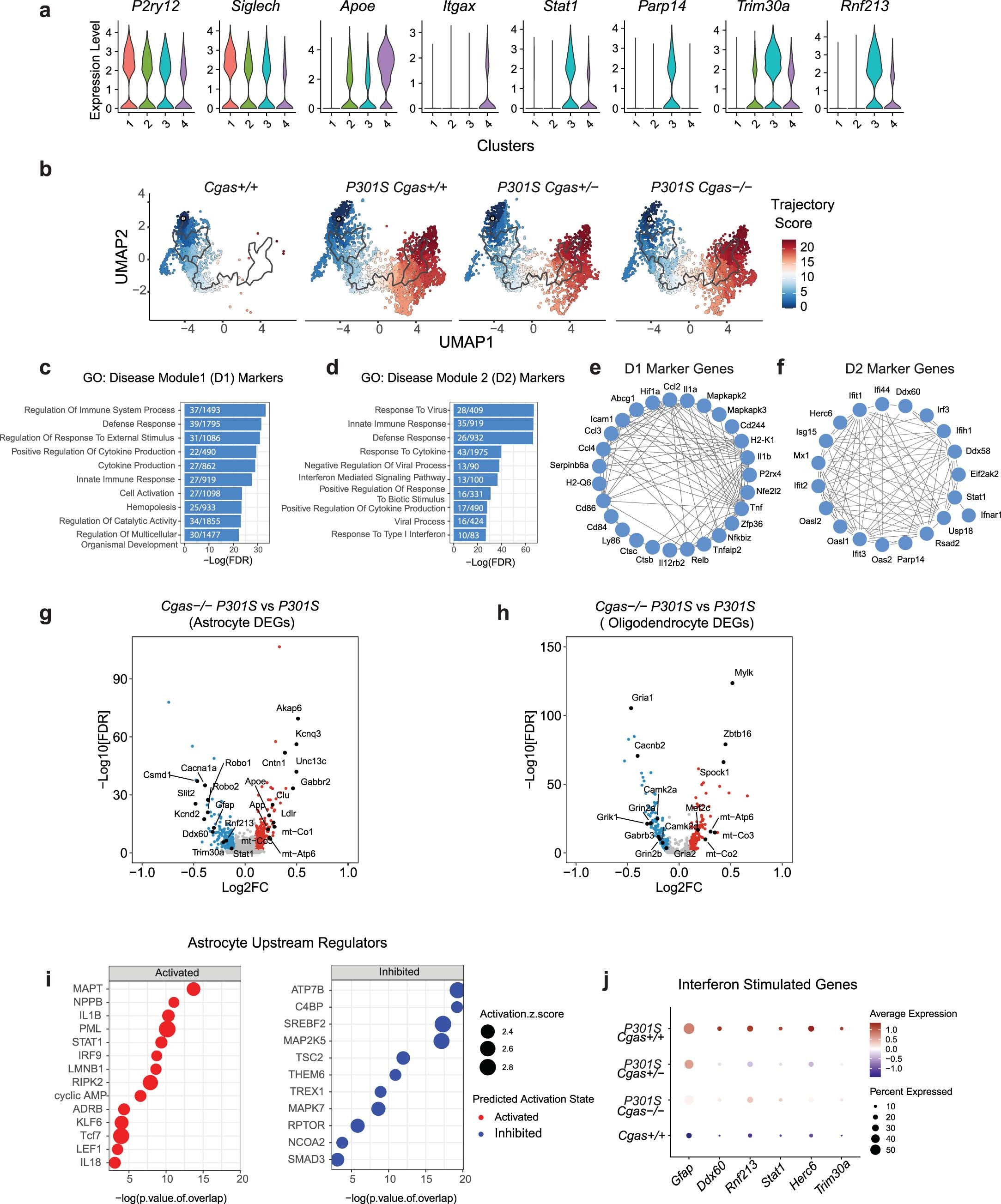 Extended Data Fig. 4: snRNA-seq analyses of microglia, astrocytes, and oligodendrocytes (Related to Fig. 3).