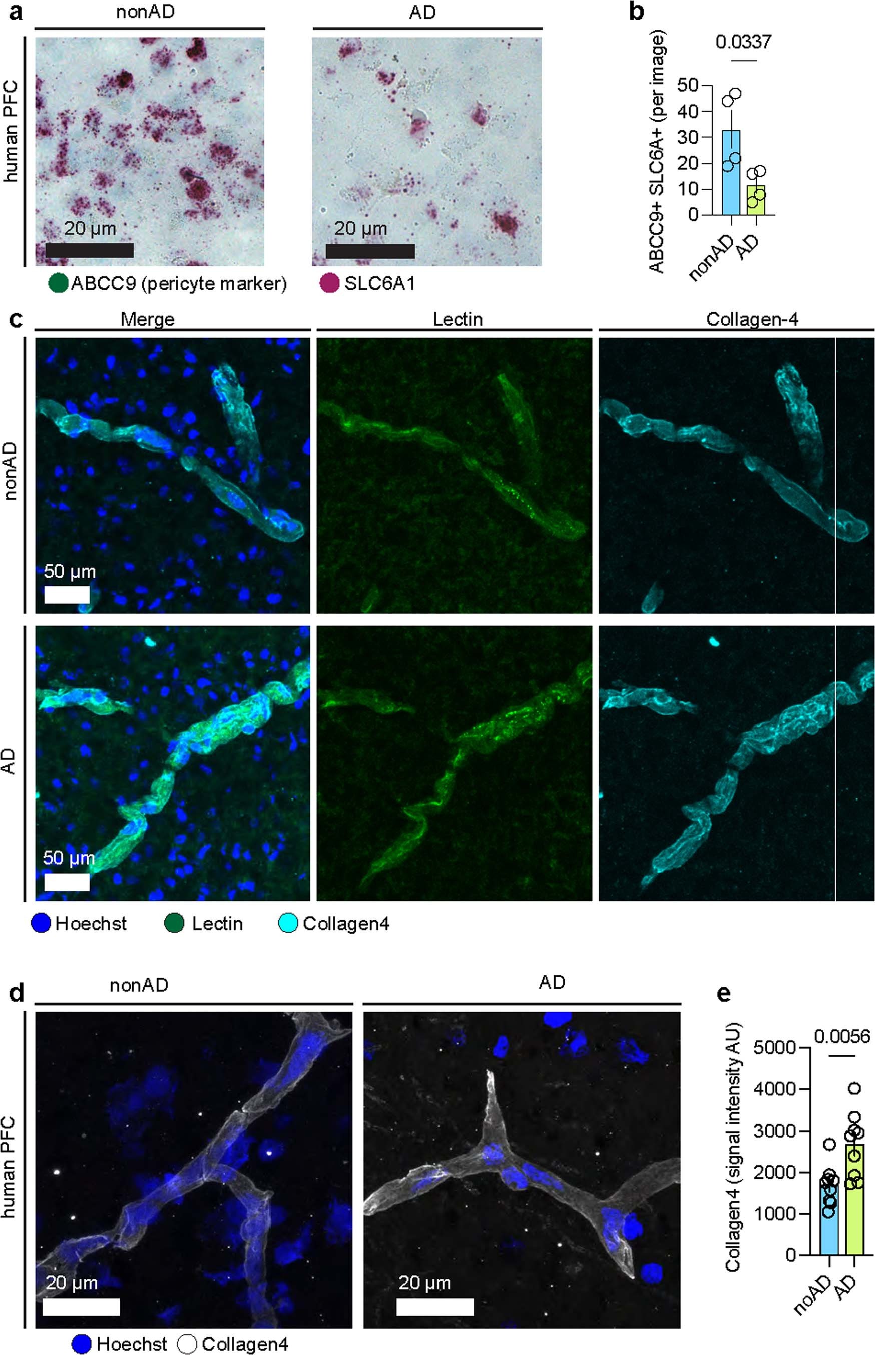 Extended Data Fig. 6