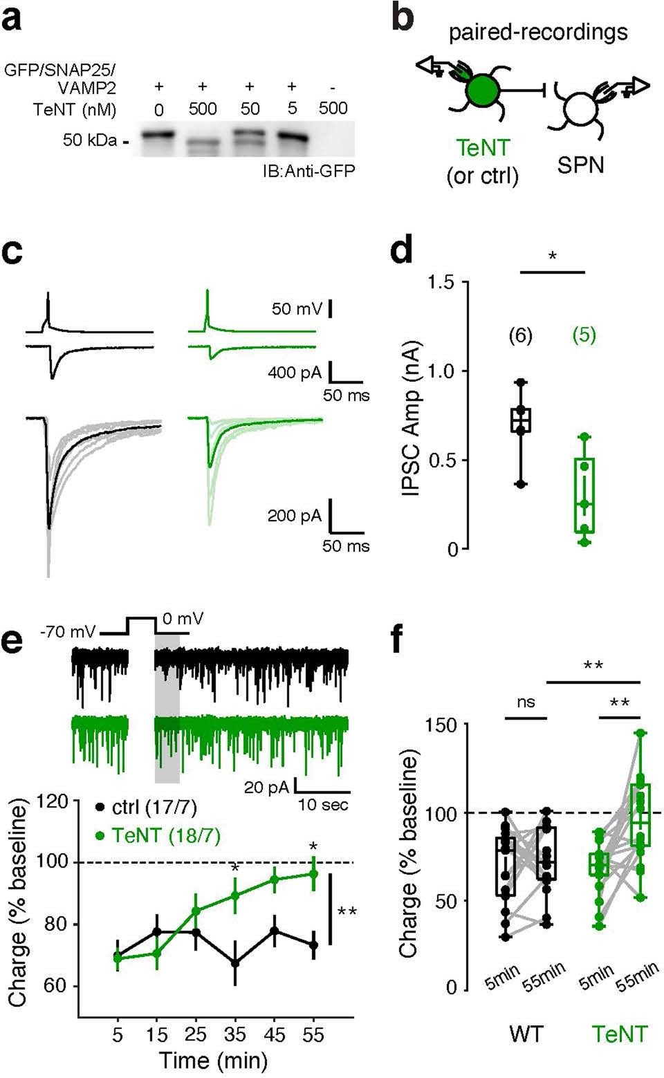 Extended Data Fig. 9