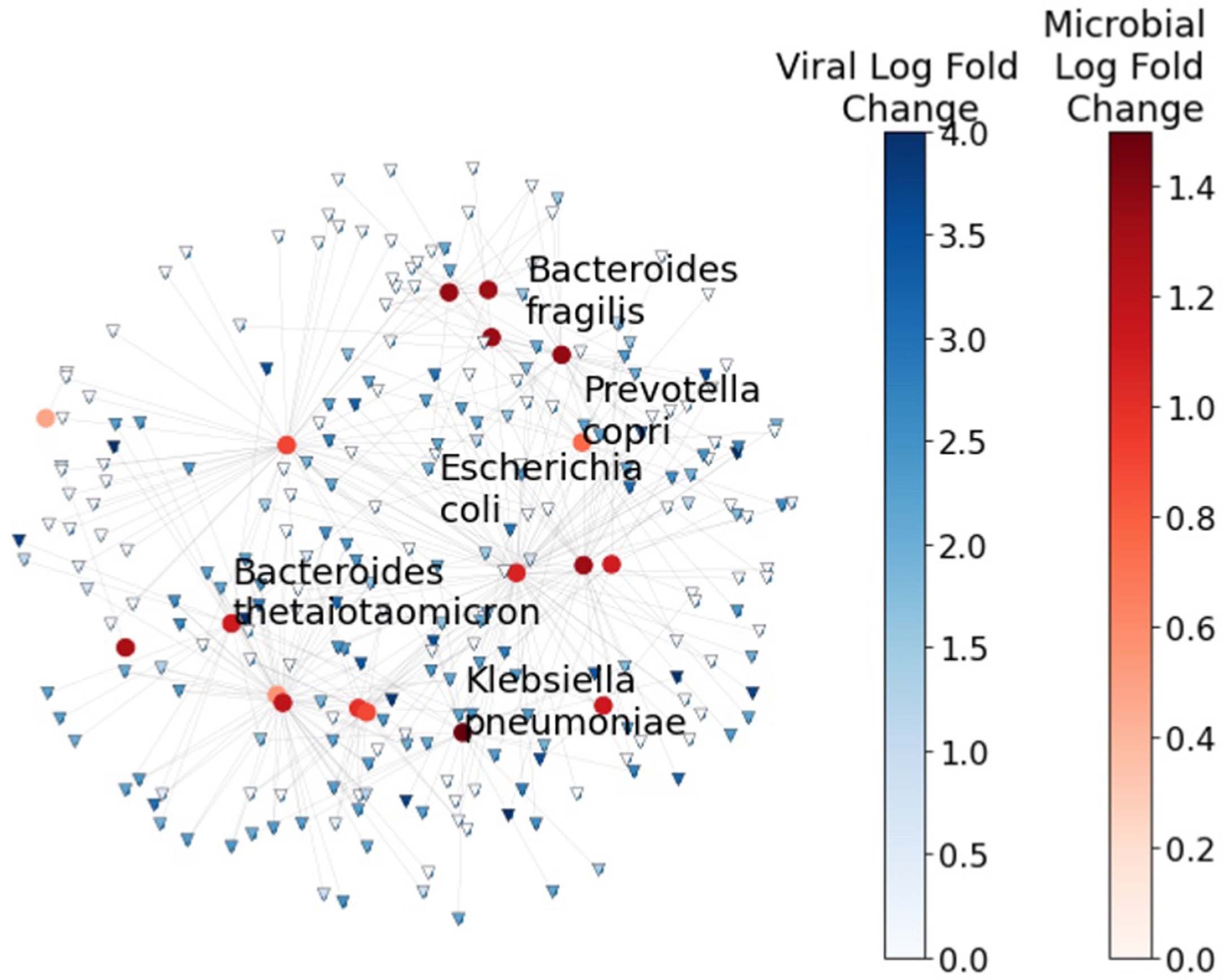 Extended Data Fig. 7: Microbe-viral co-occurrence network estimated using MMvec.