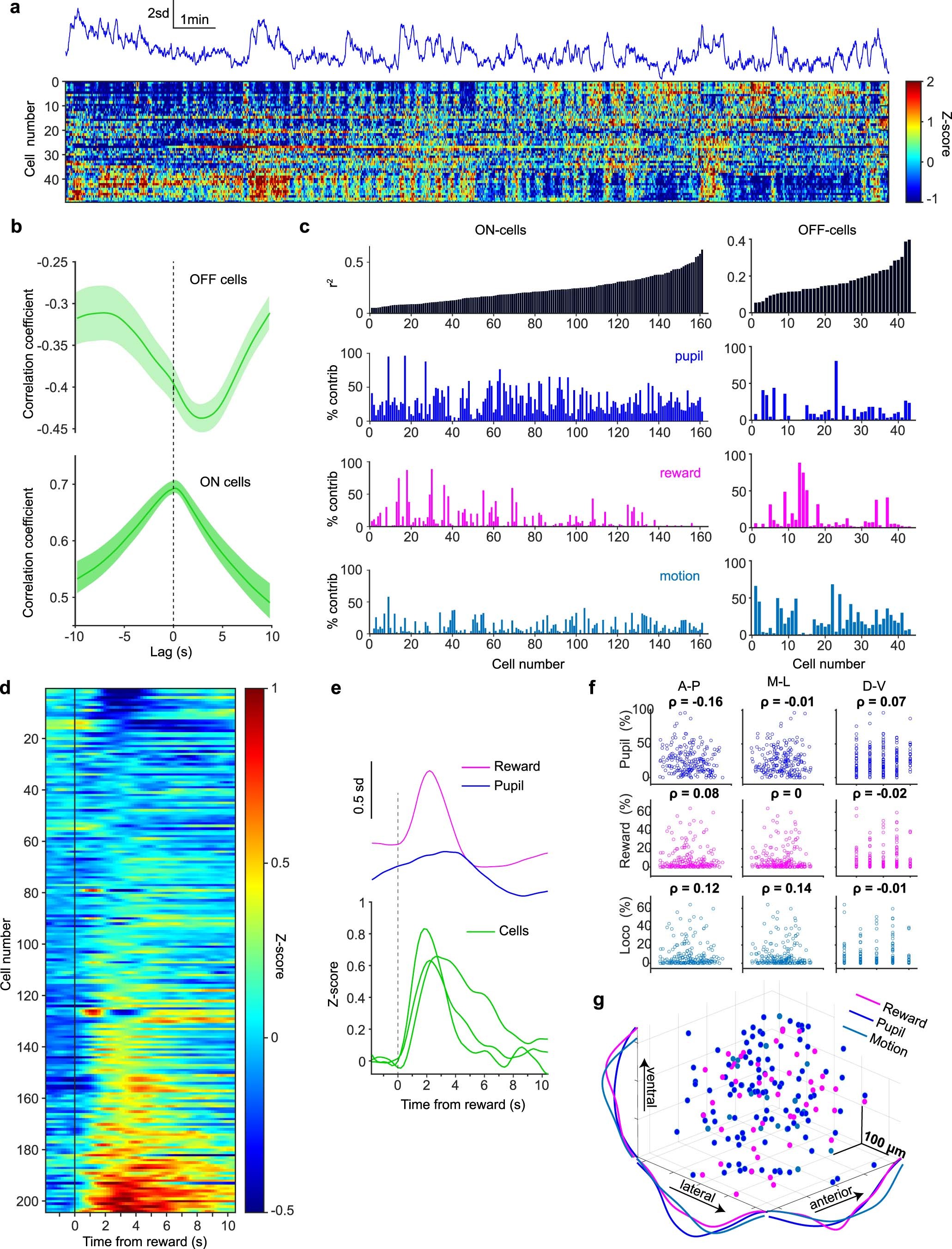 Extended Data Fig. 2: Additional analyses of volumetric GRIN 2 P data.