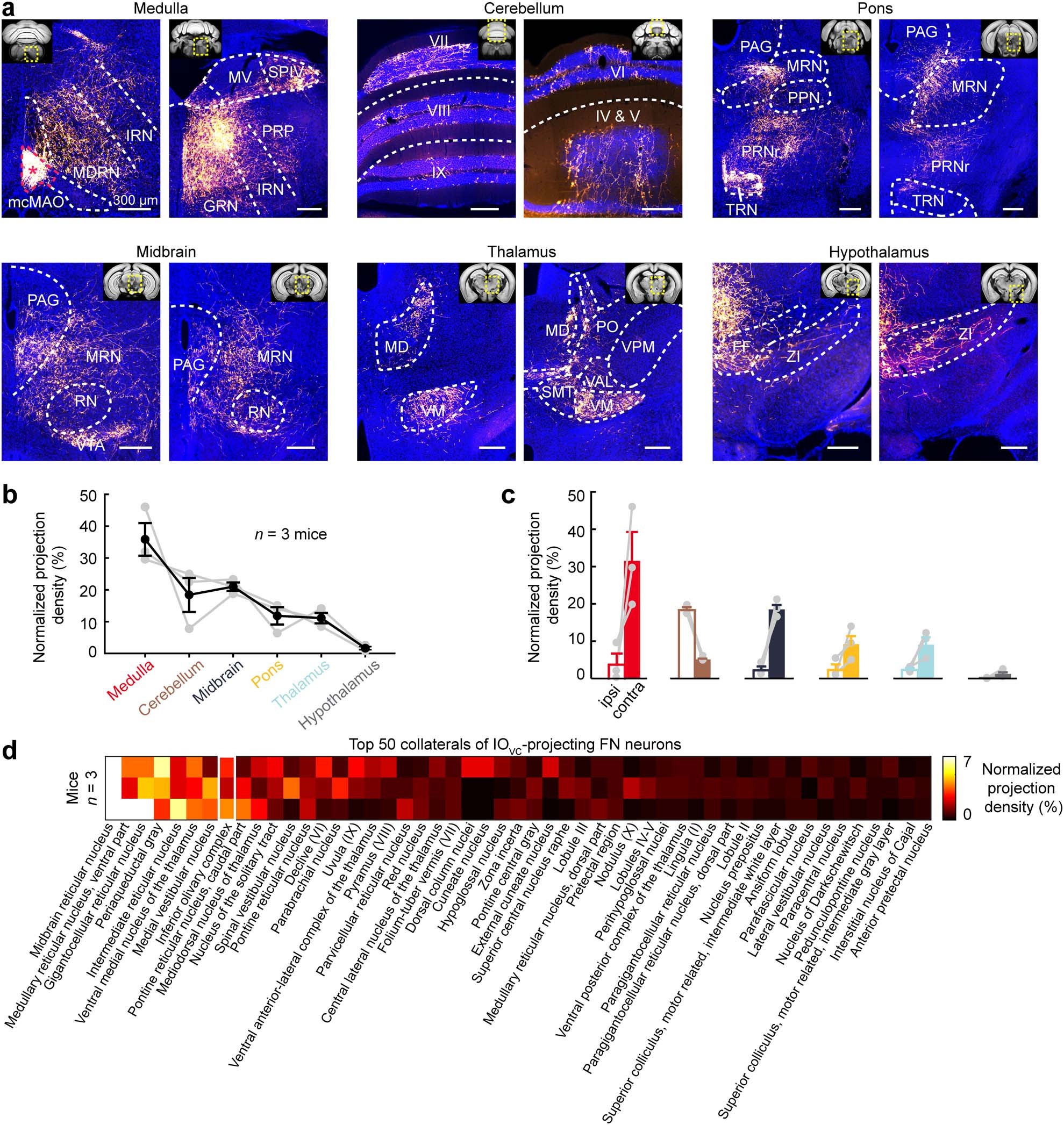 Extended Data Fig. 7: Brain-wide quantification of axonal projection from FNE-IO neurons.