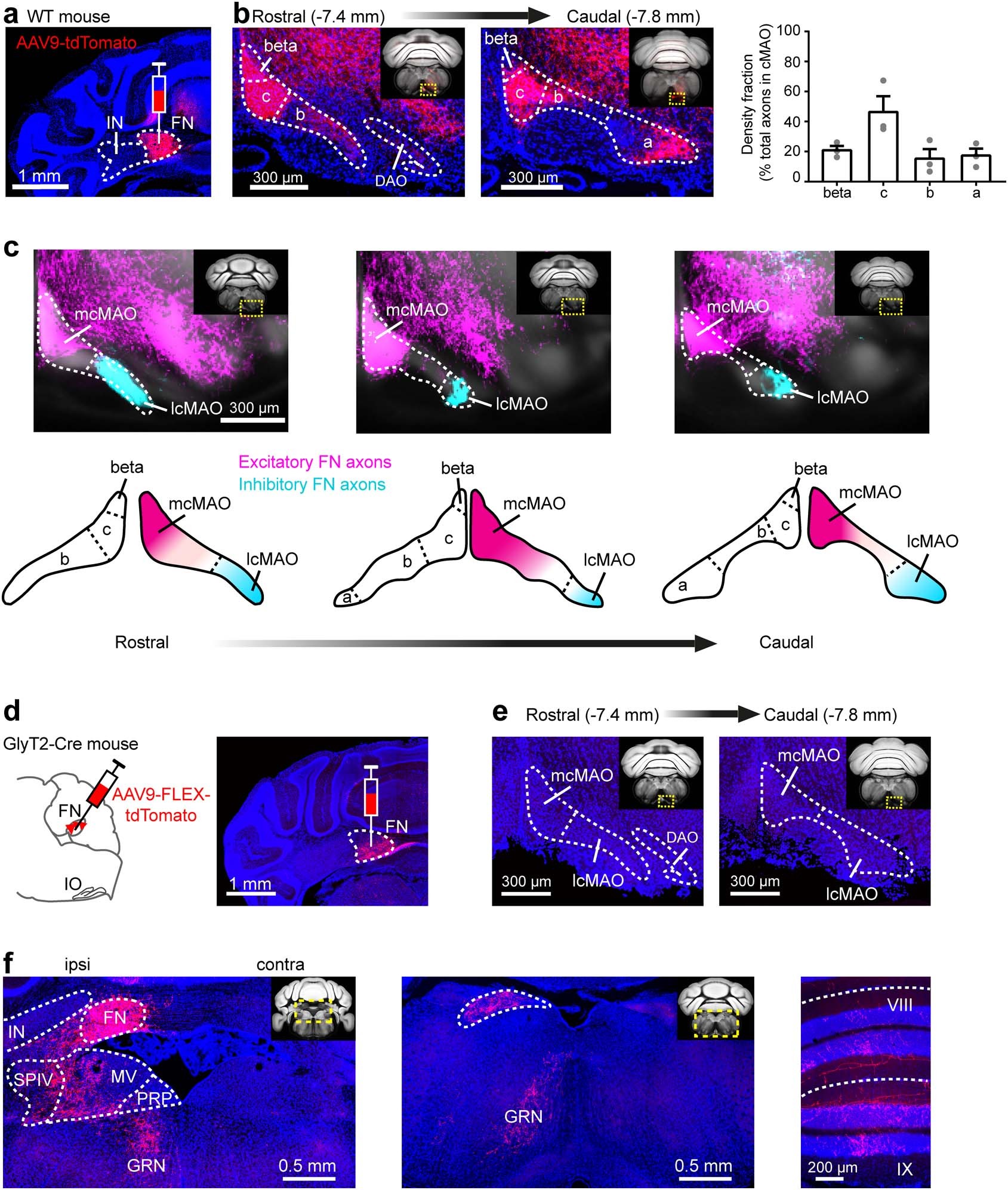 Extended Data Fig. 1
