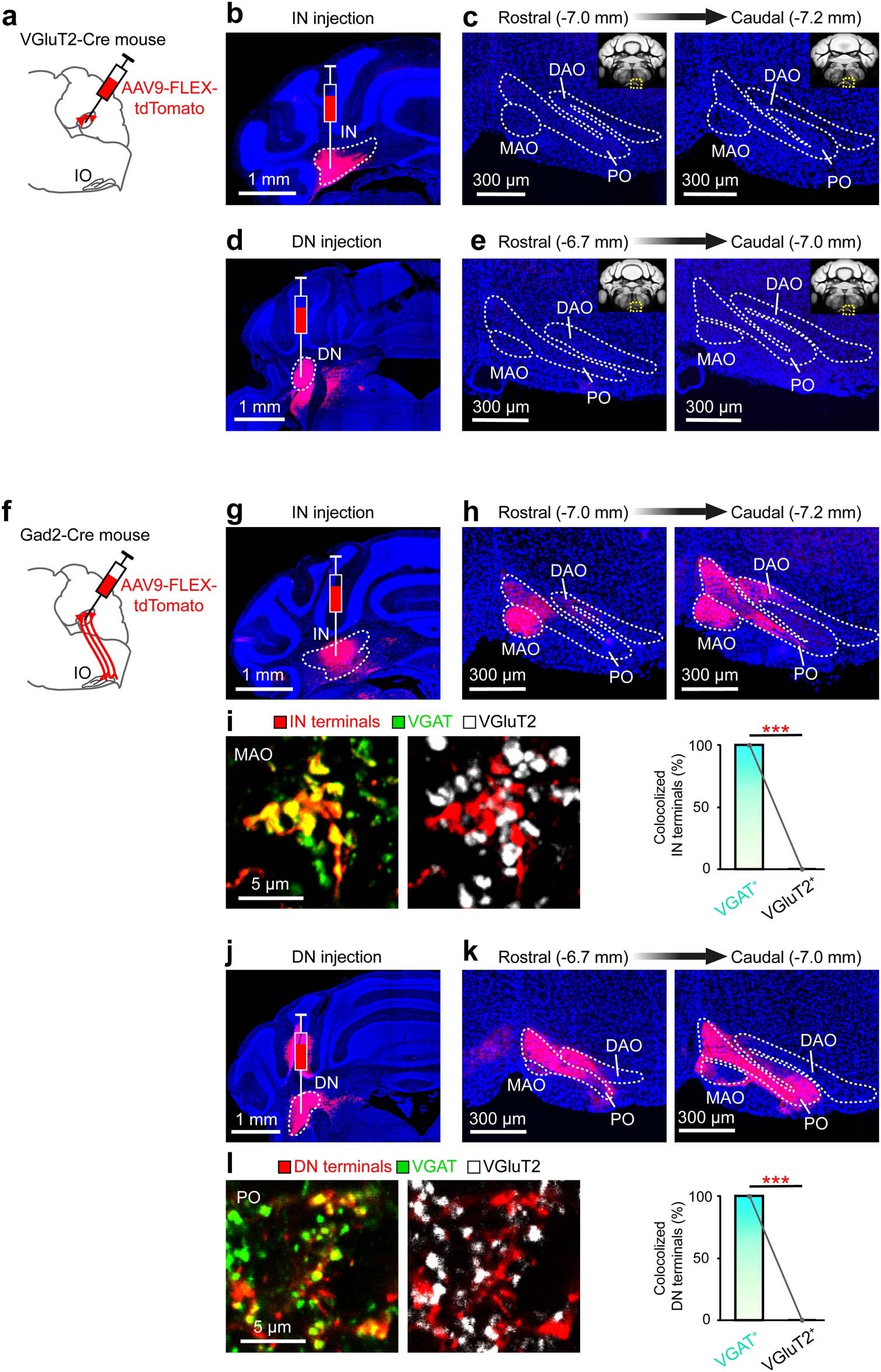 Extended Data Fig. 2