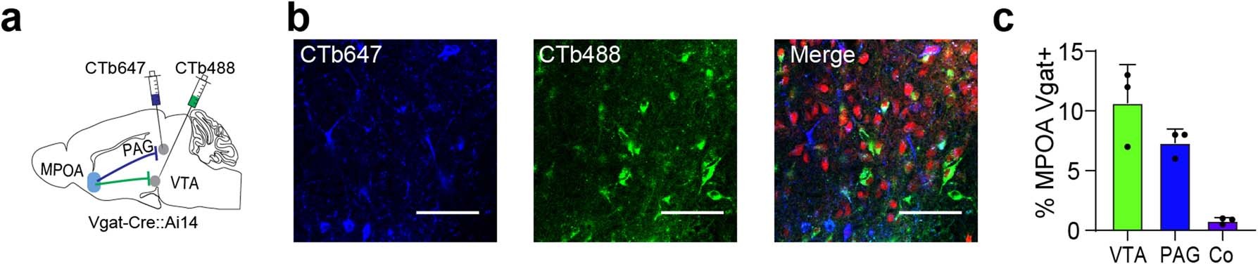 Extended Data Fig. 5