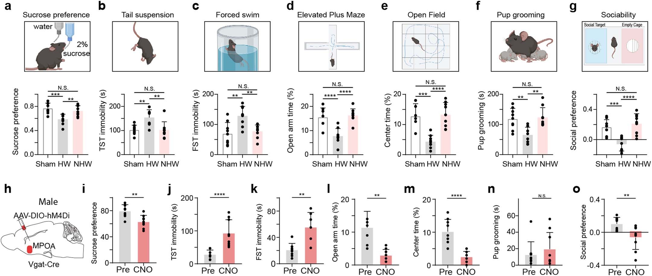 Extended Data Fig. 1