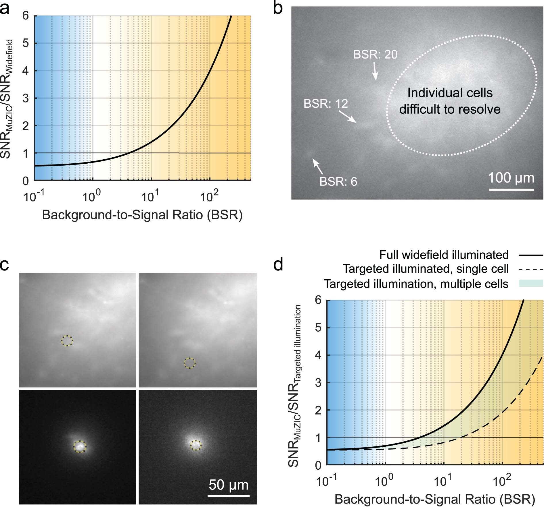 Extended Data Fig. 6