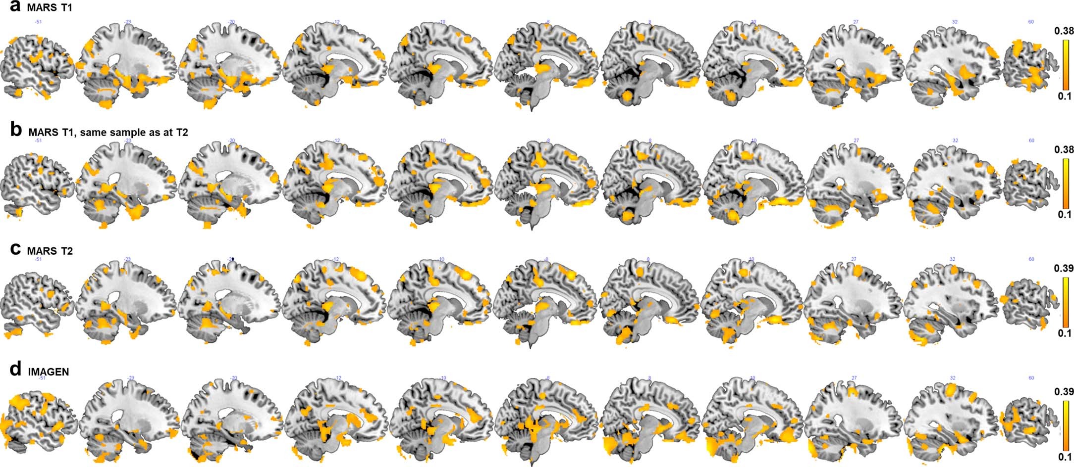 Extended Data Fig. 5: Normative models based on adversity.