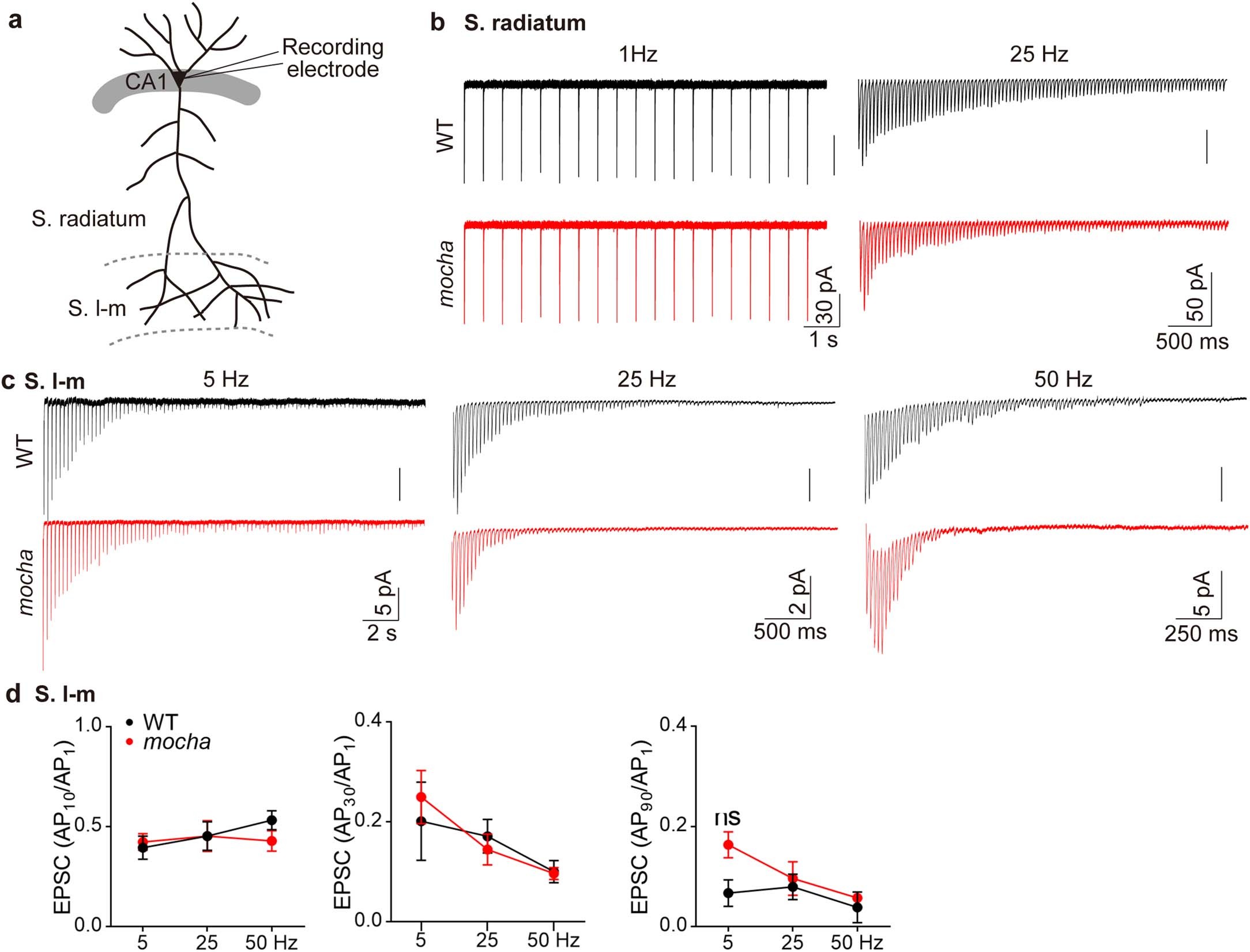 Extended Data Fig. 5