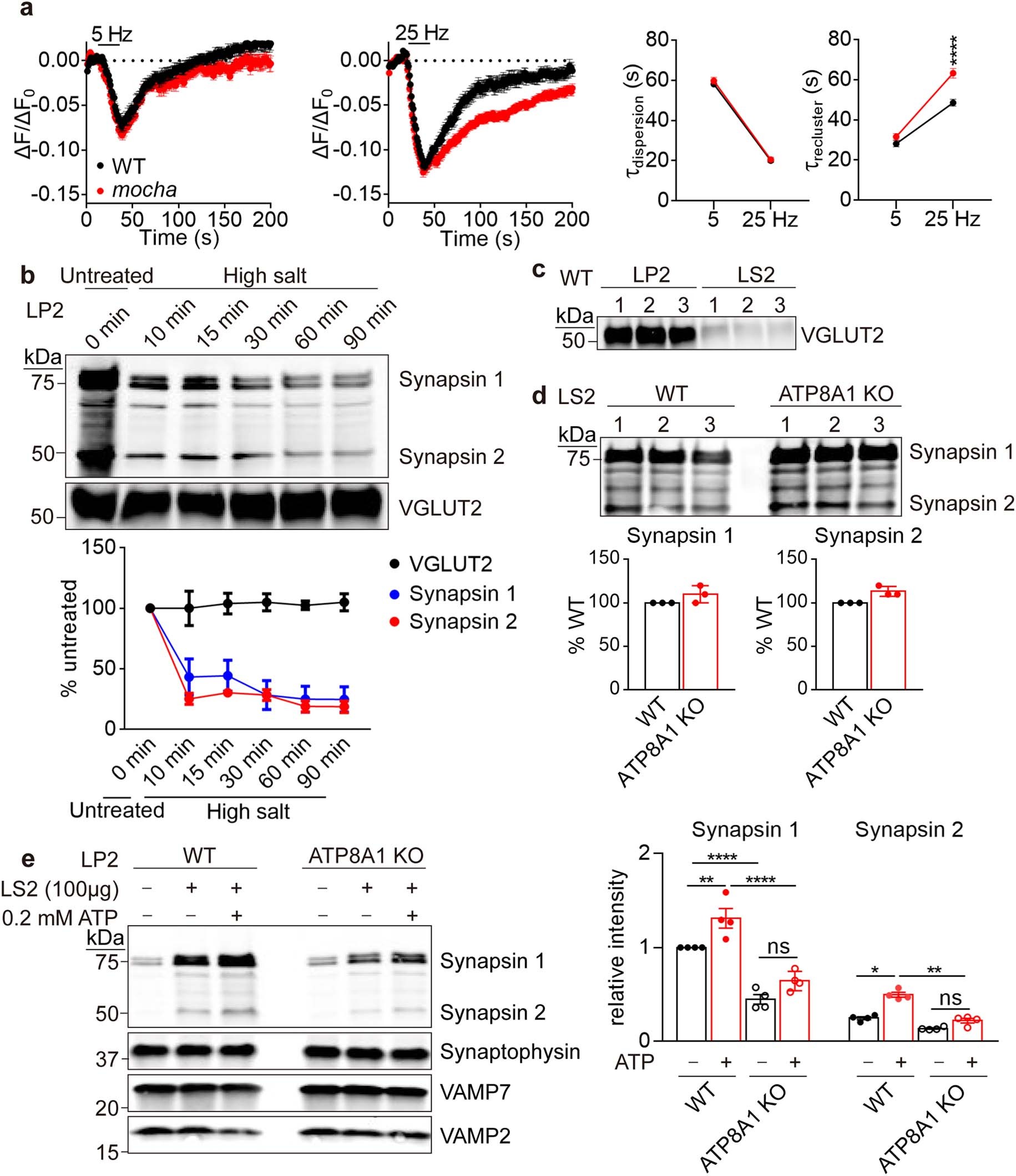 Extended Data Fig. 9