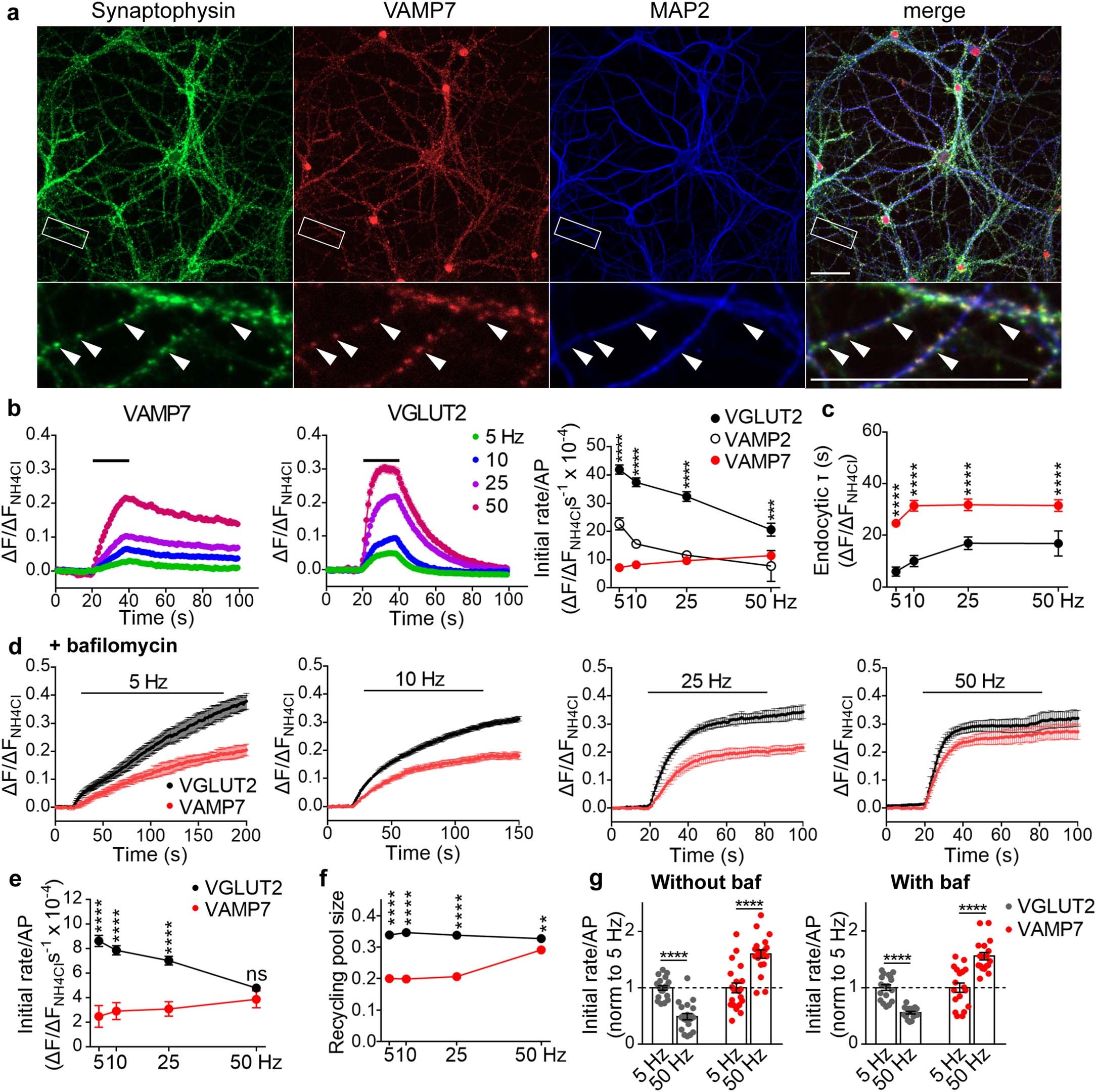 Extended Data Fig. 1