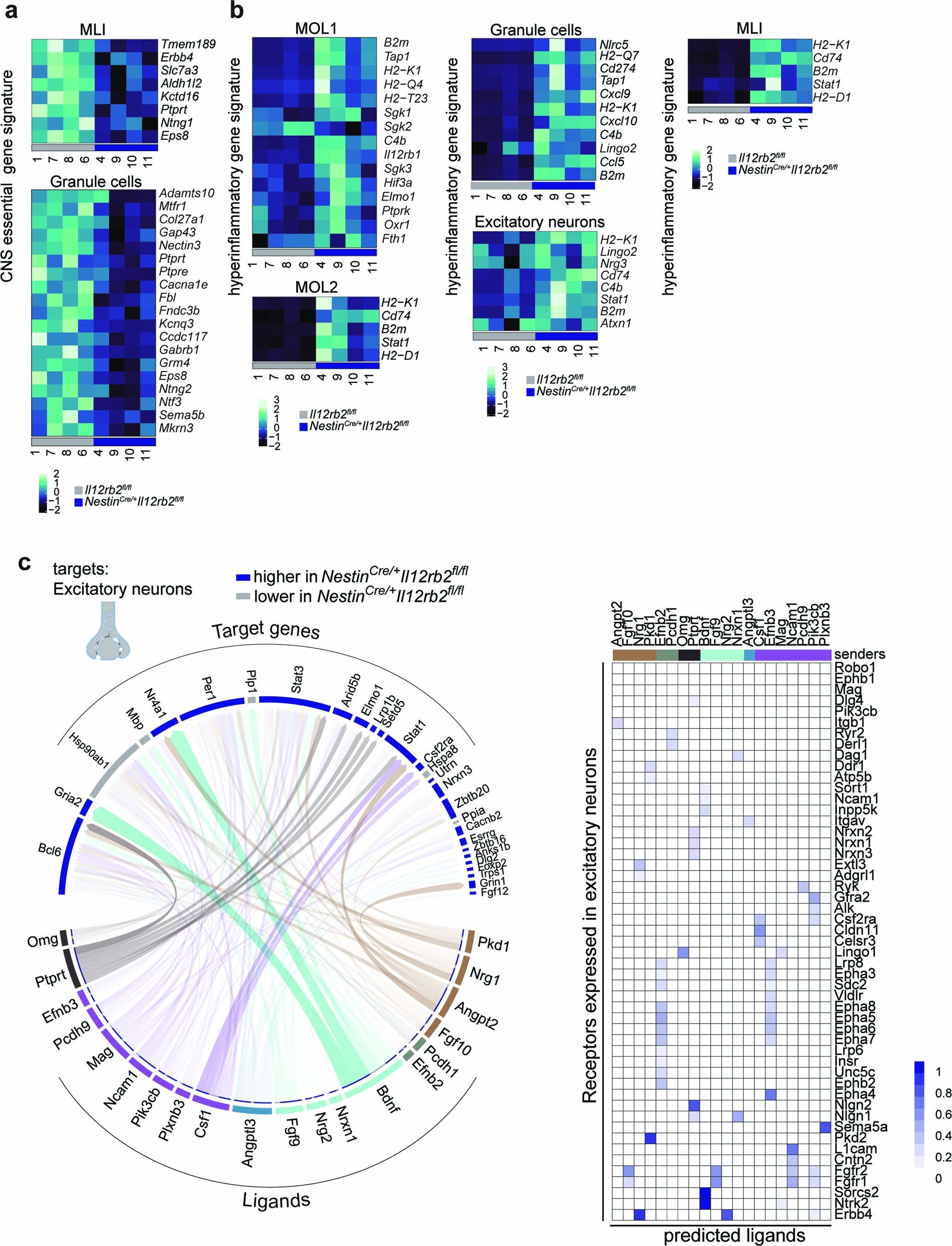 Extended Data Fig. 5: IL-12 induces CNS essential and suppresses hyperinflammatory gene signatures.