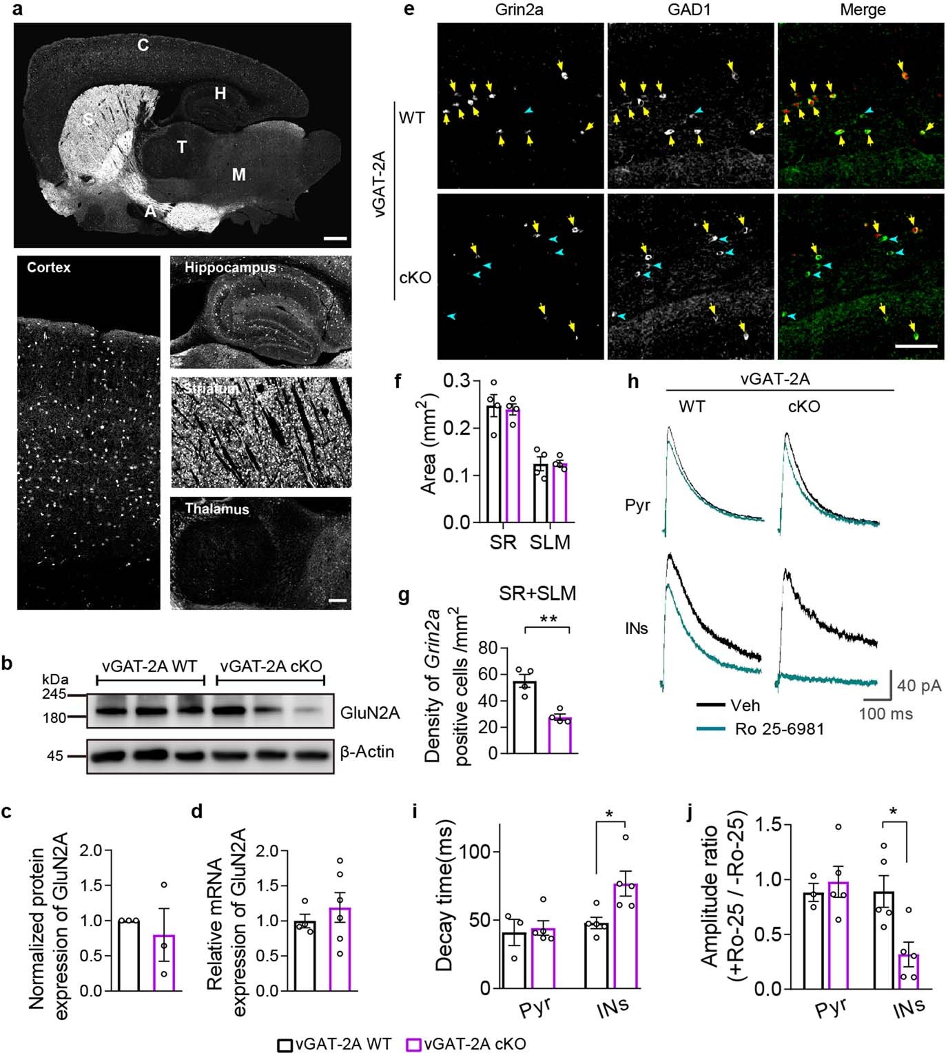 Extended Data Fig. 4