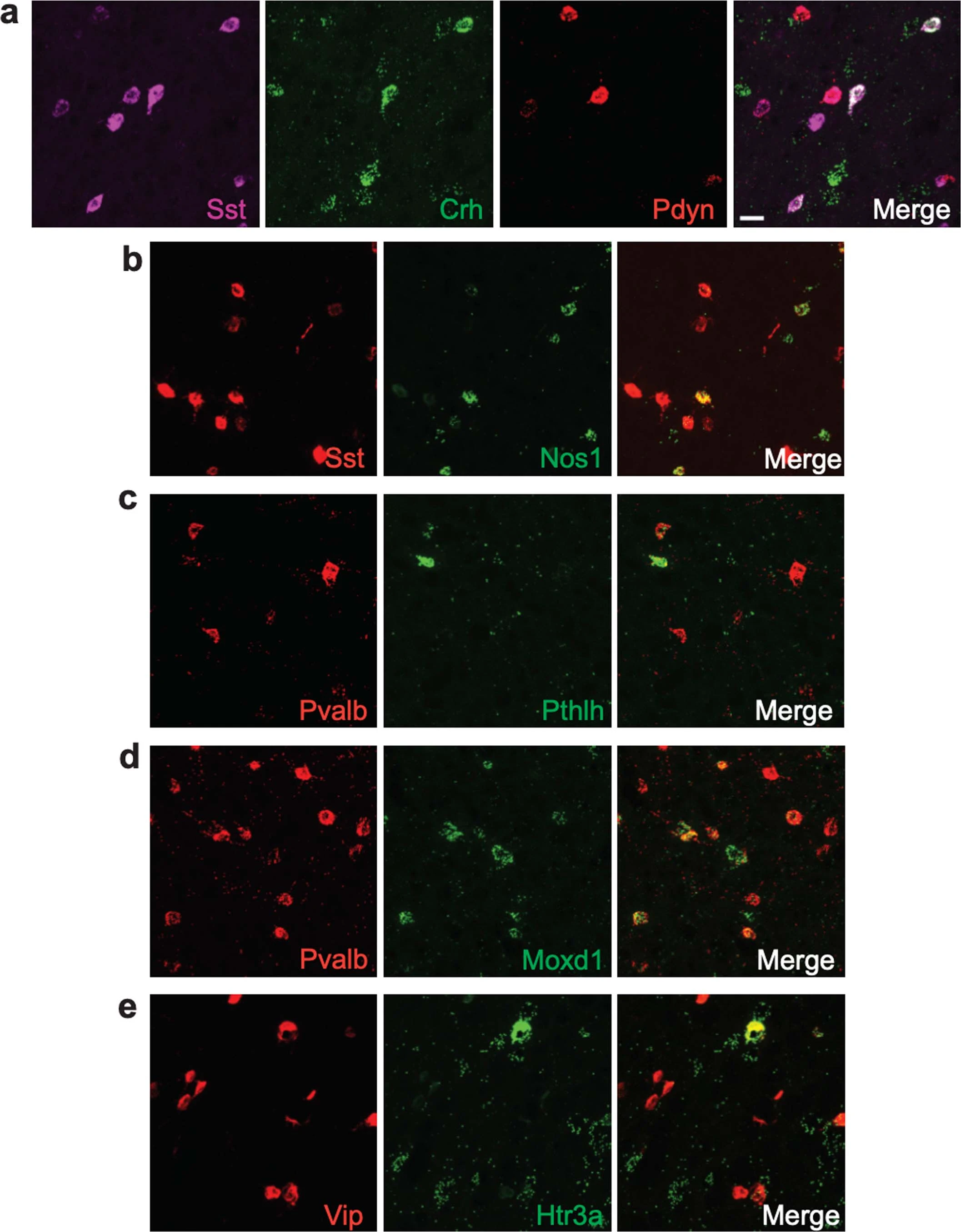 Extended Data Fig. 4