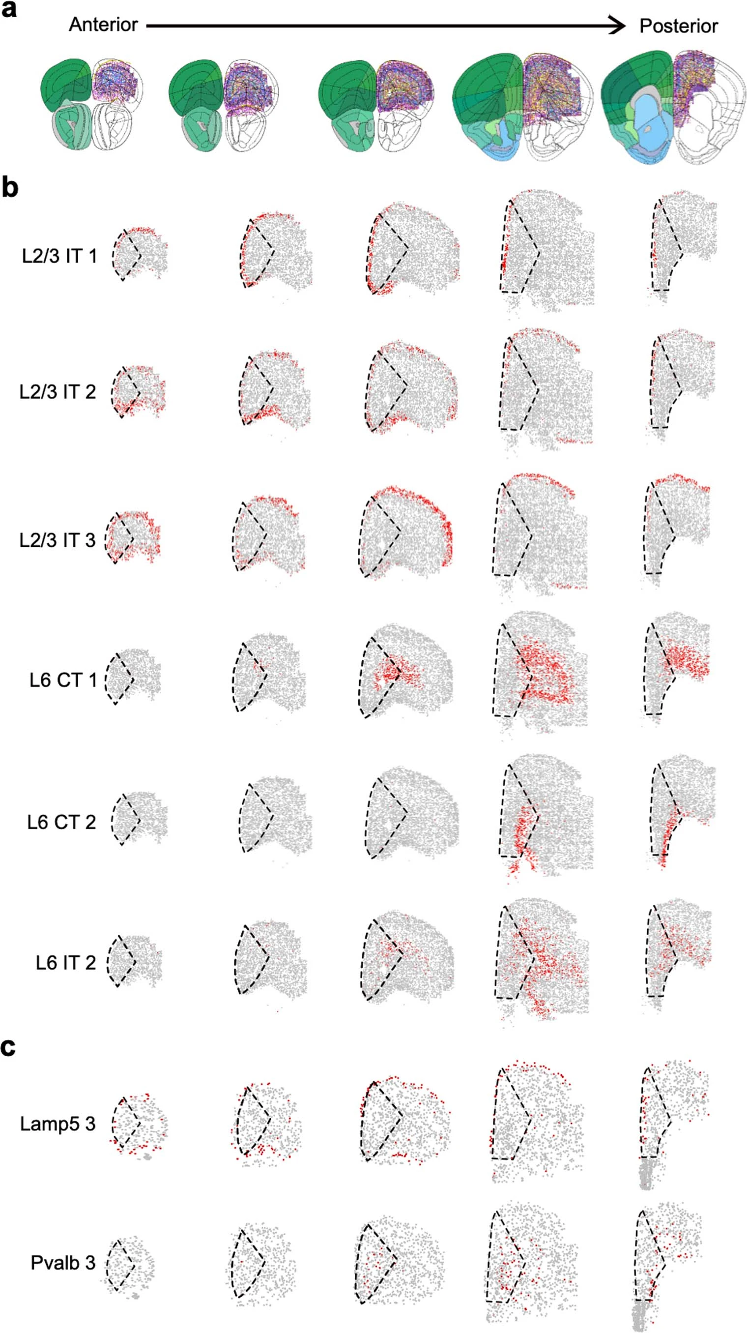 Extended Data Fig. 6