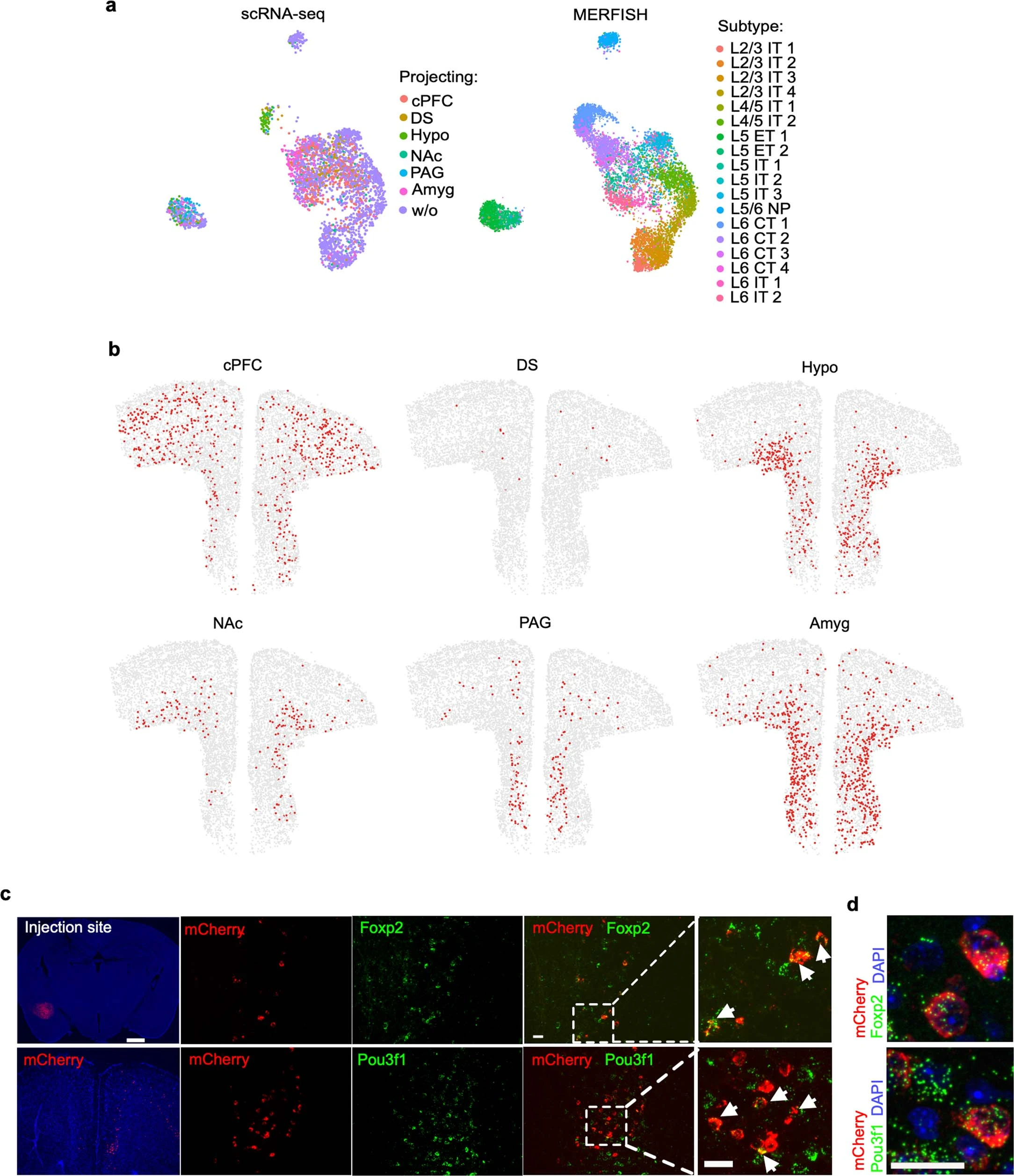 Extended Data Fig. 9