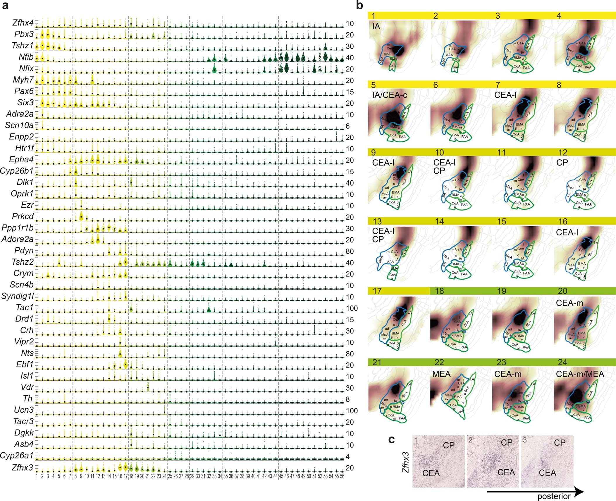 Extended Data Fig. 5