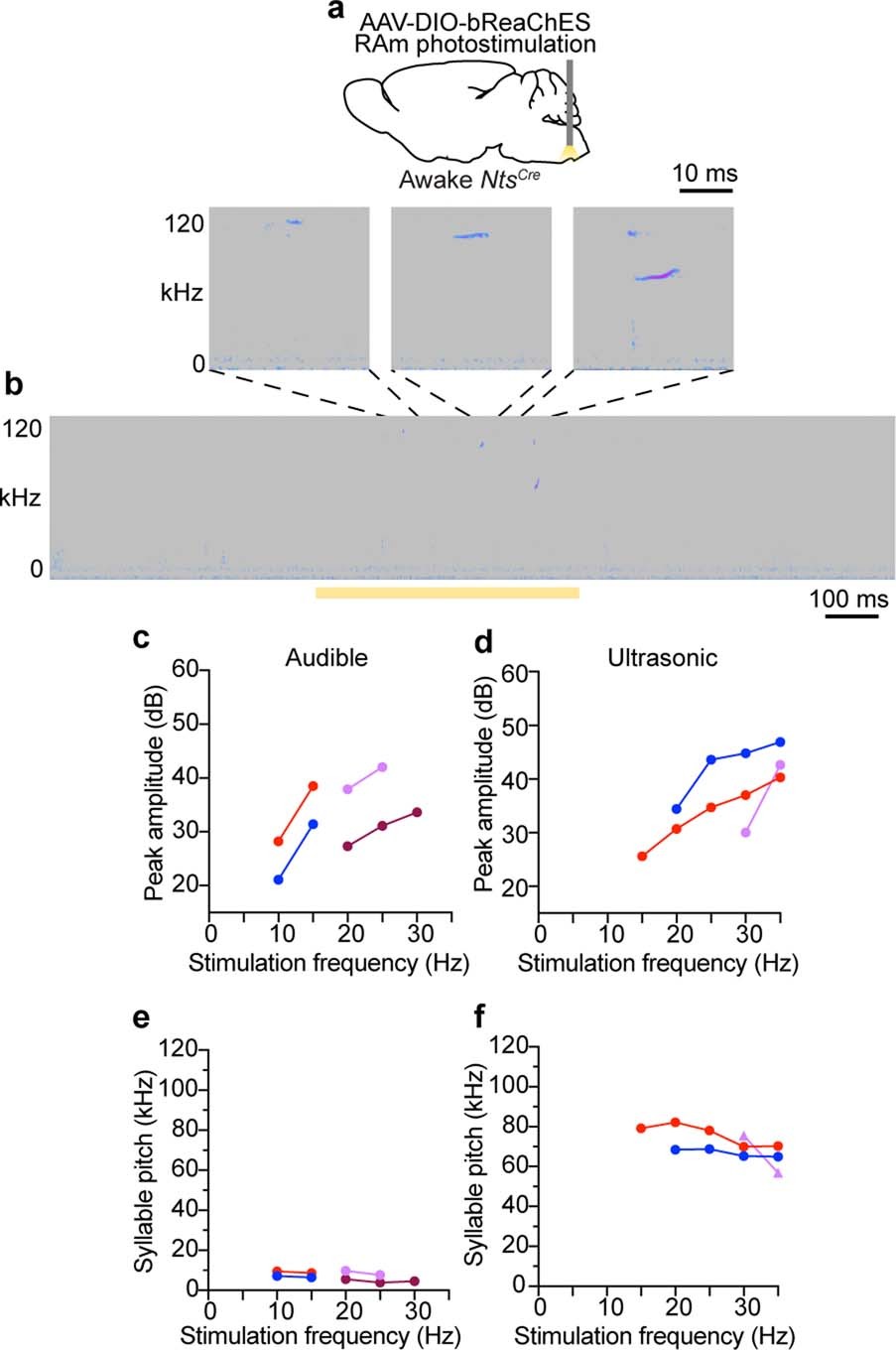 Extended Data Fig. 5