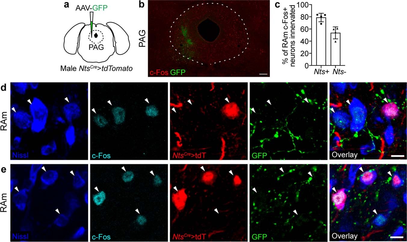 Extended Data Fig. 2