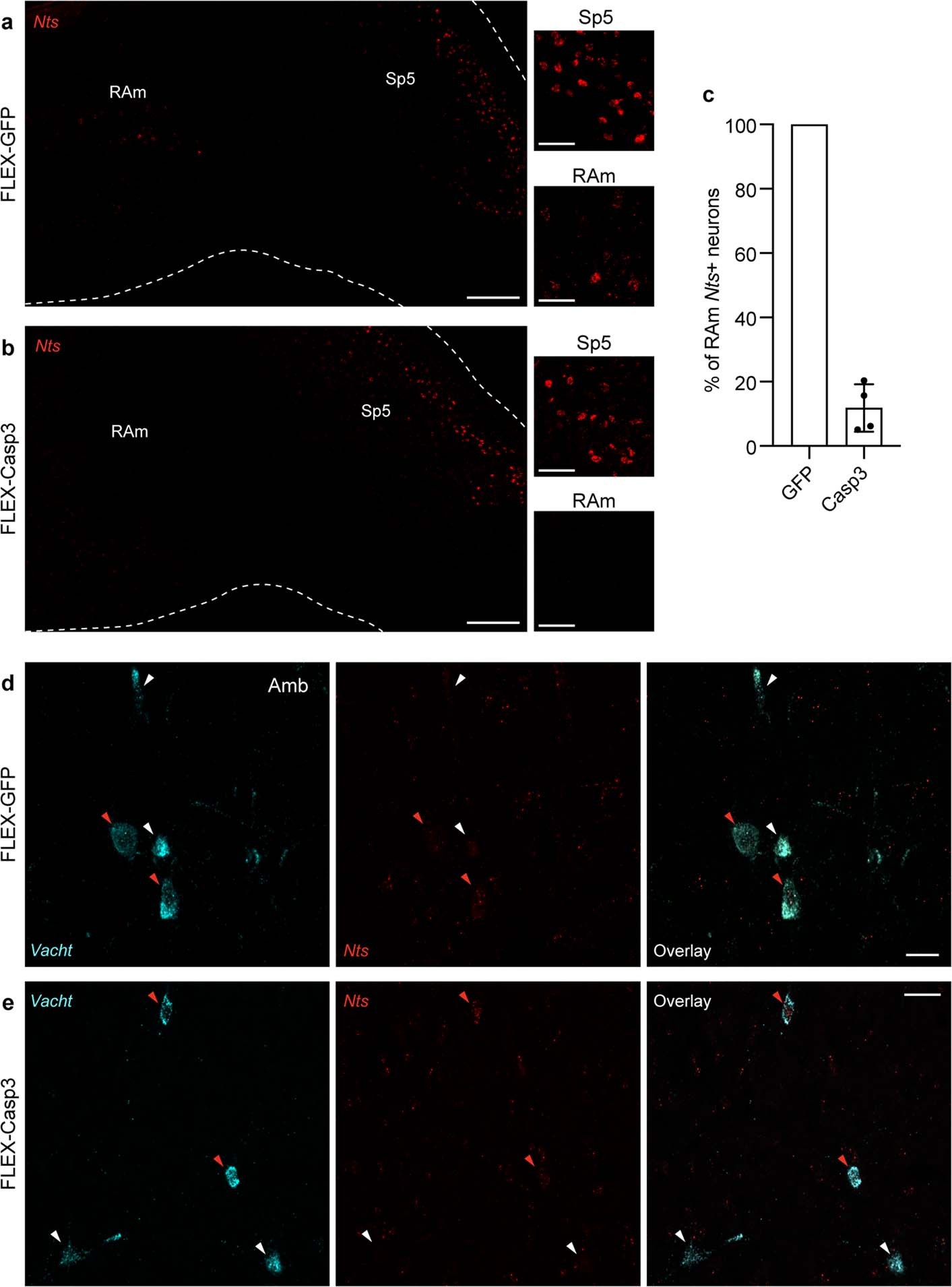 Extended Data Fig. 3