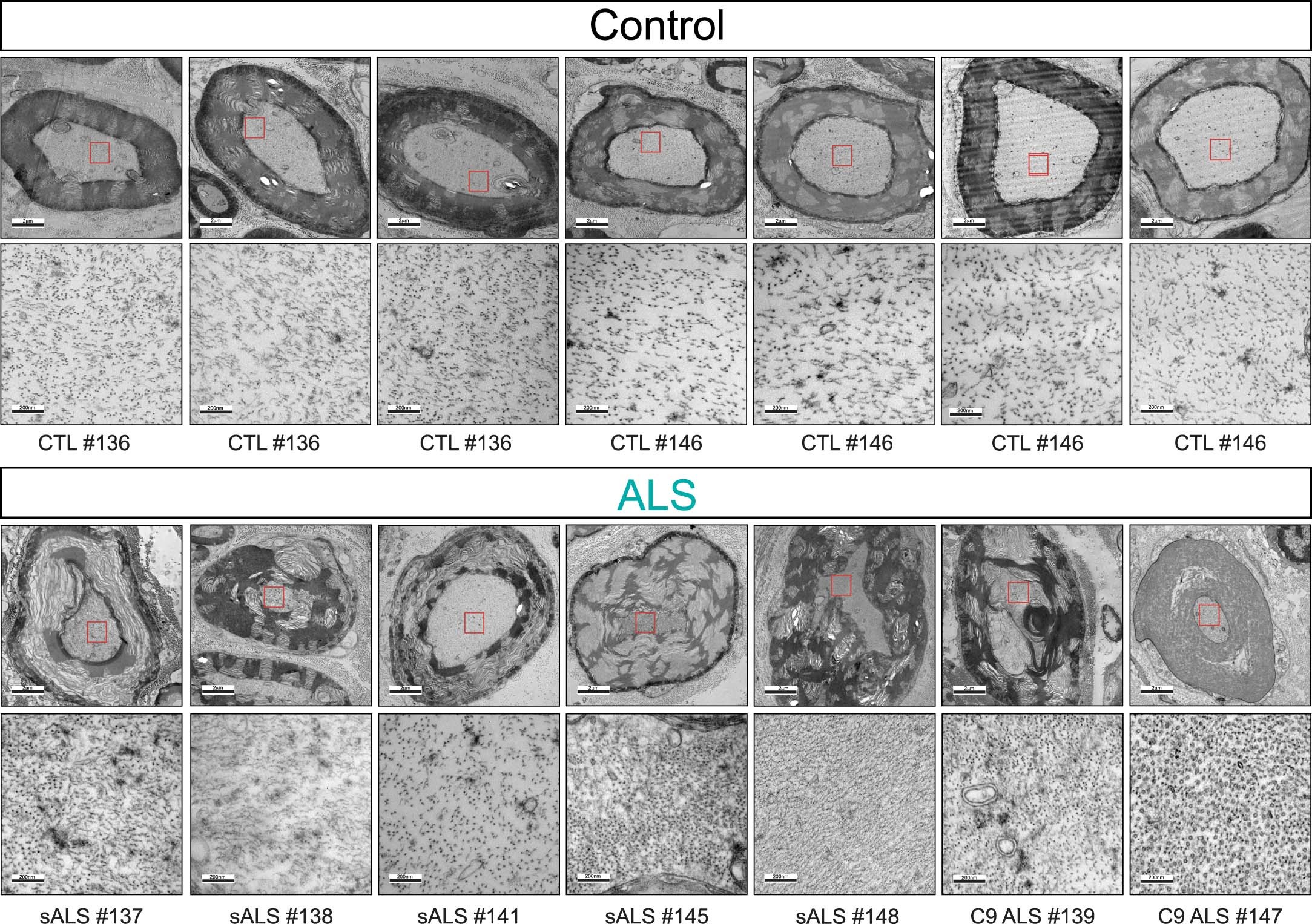 Extended Data Fig. 4