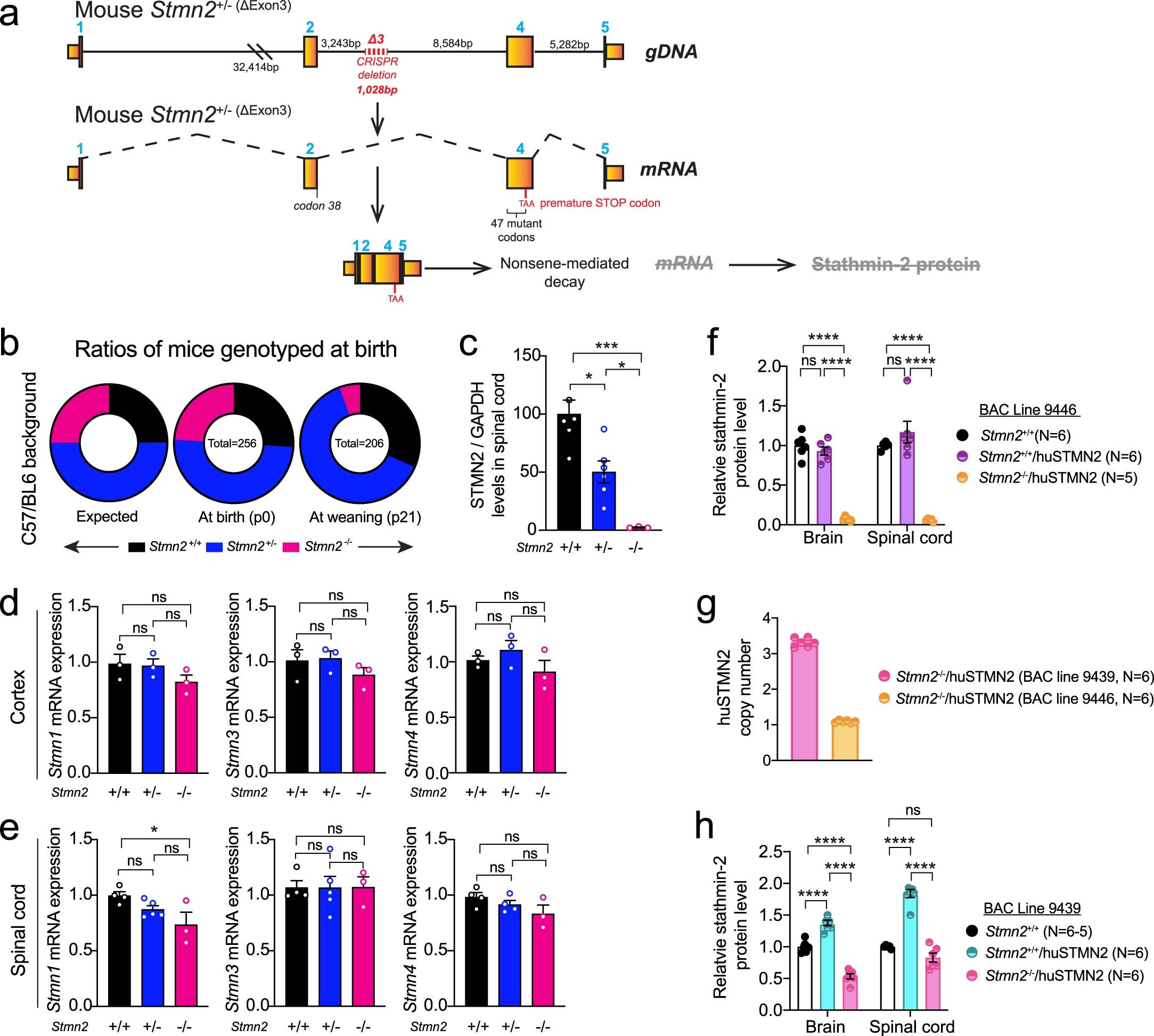 Extended Data Fig. 6