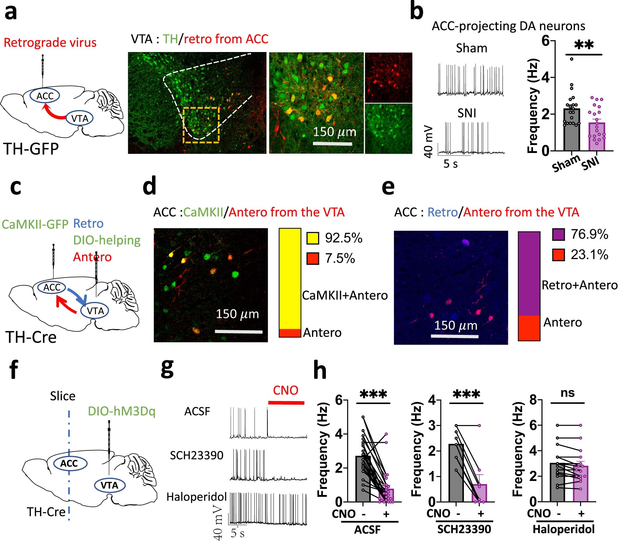 Extended Data Fig. 6