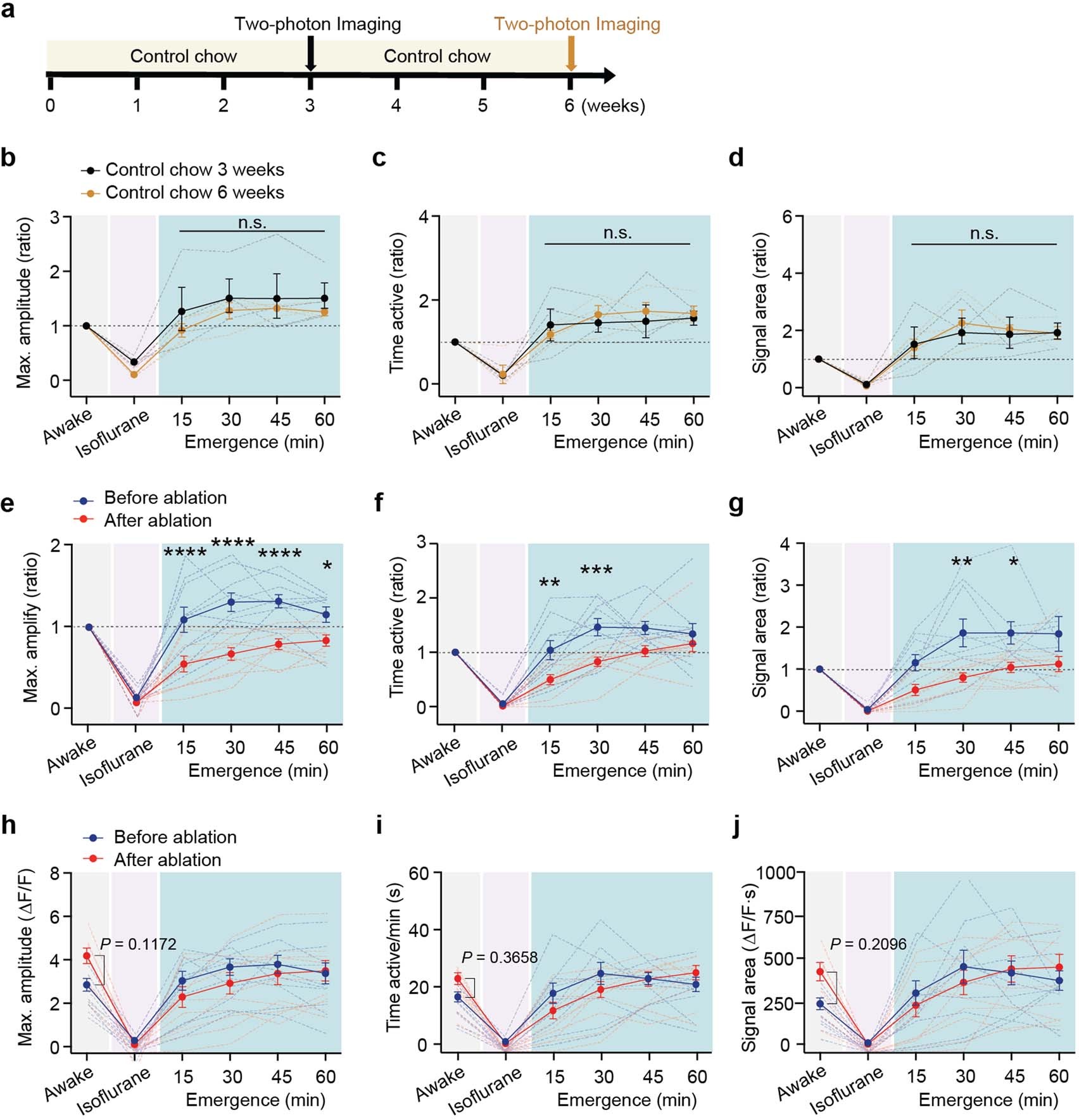 Extended Data Fig. 2: Control chow and PLX chow feeding in neuronal activity during emergence from anesthesia.