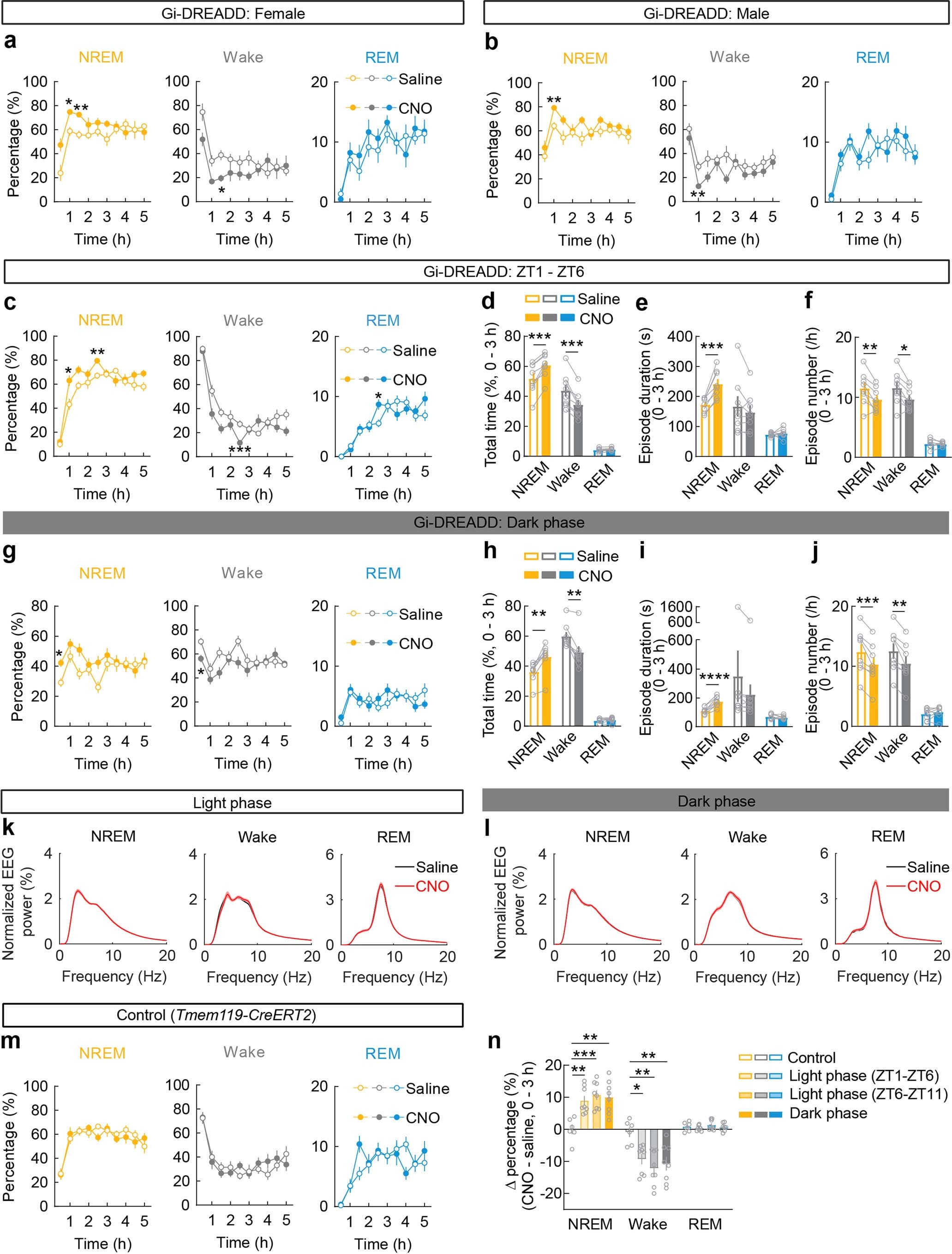 Extended Data Fig. 2: Effect of Gi-DREADD activation on sleep in female and male mice, early light phase, dark phase, EEG power spectra within each state, and control experiments in mice without Gi-DREADD.