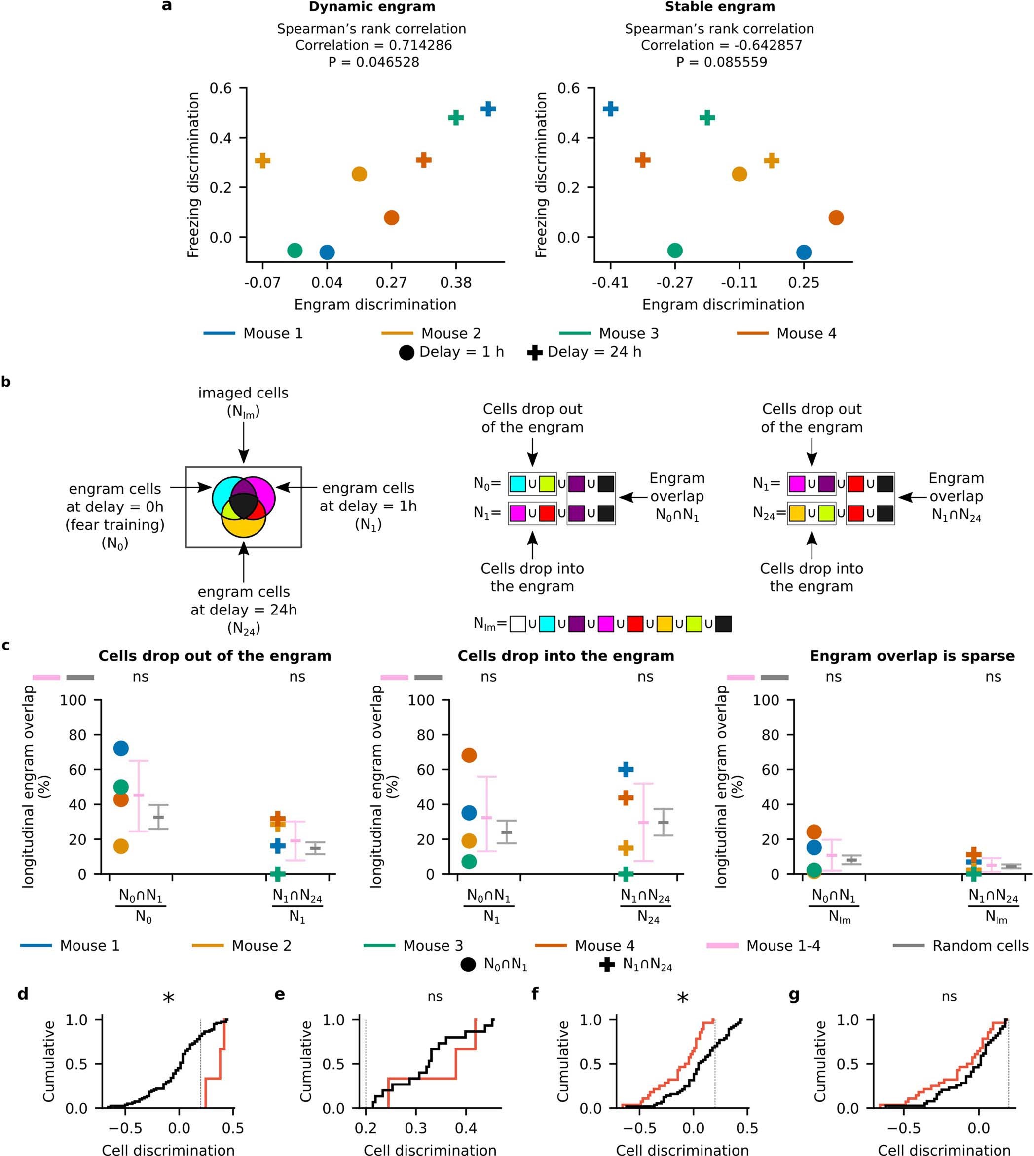 Extended Data Fig. 9: Analysis of longitudinal calcium imaging experiments.
