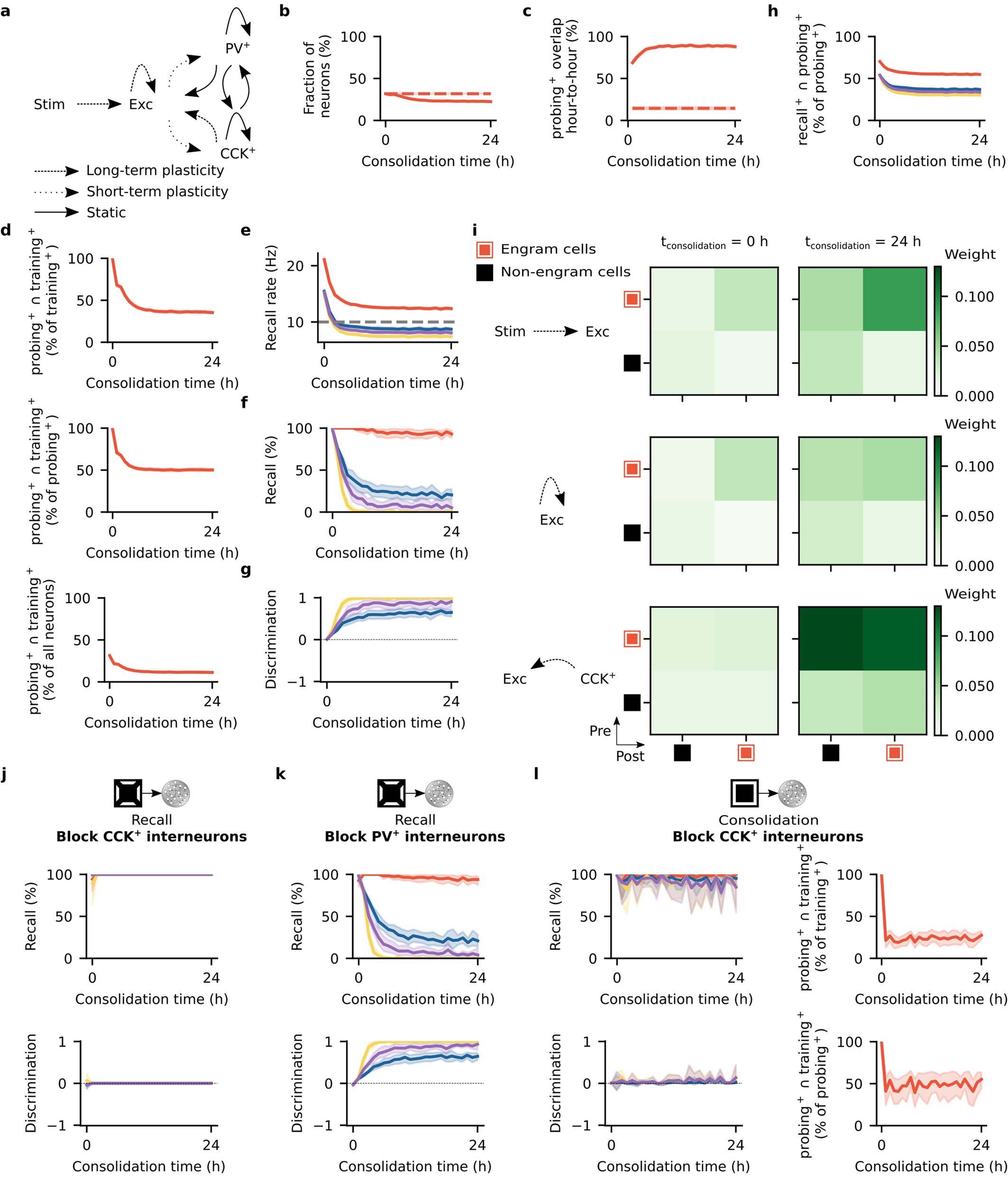 Extended Data Fig. 10: CCK+ interneurons support memory selectivity.