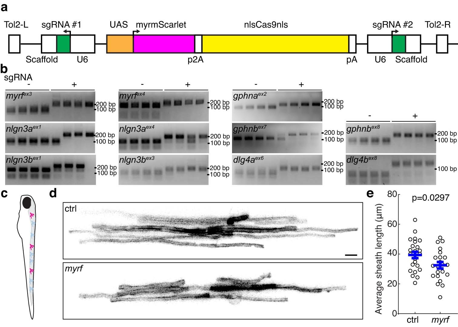 Extended Data Fig. 6