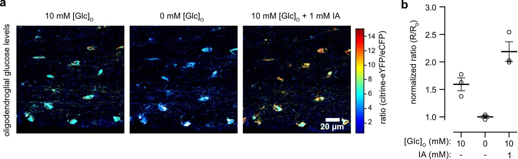 Extended Data Fig. 1