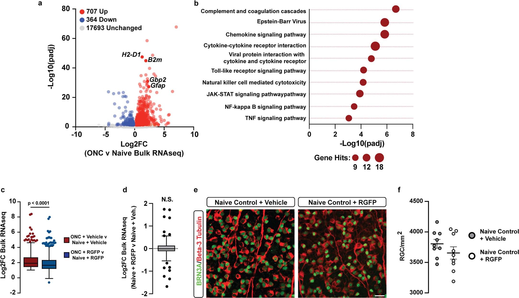 Extended Data Fig. 9: RGFP decreases gene expression associated with reactive astrocytes in ONC.