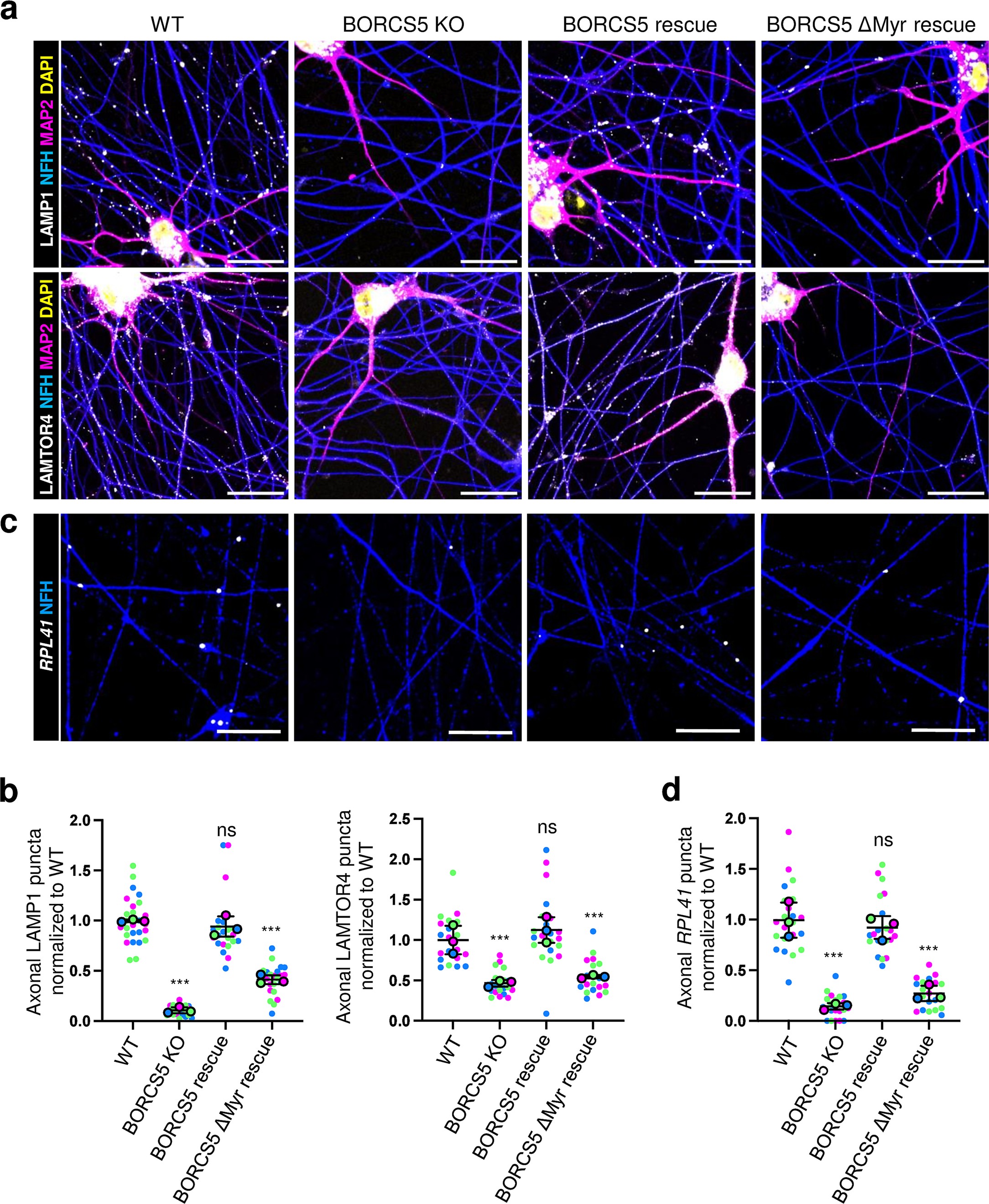 Extended Data Fig. 2