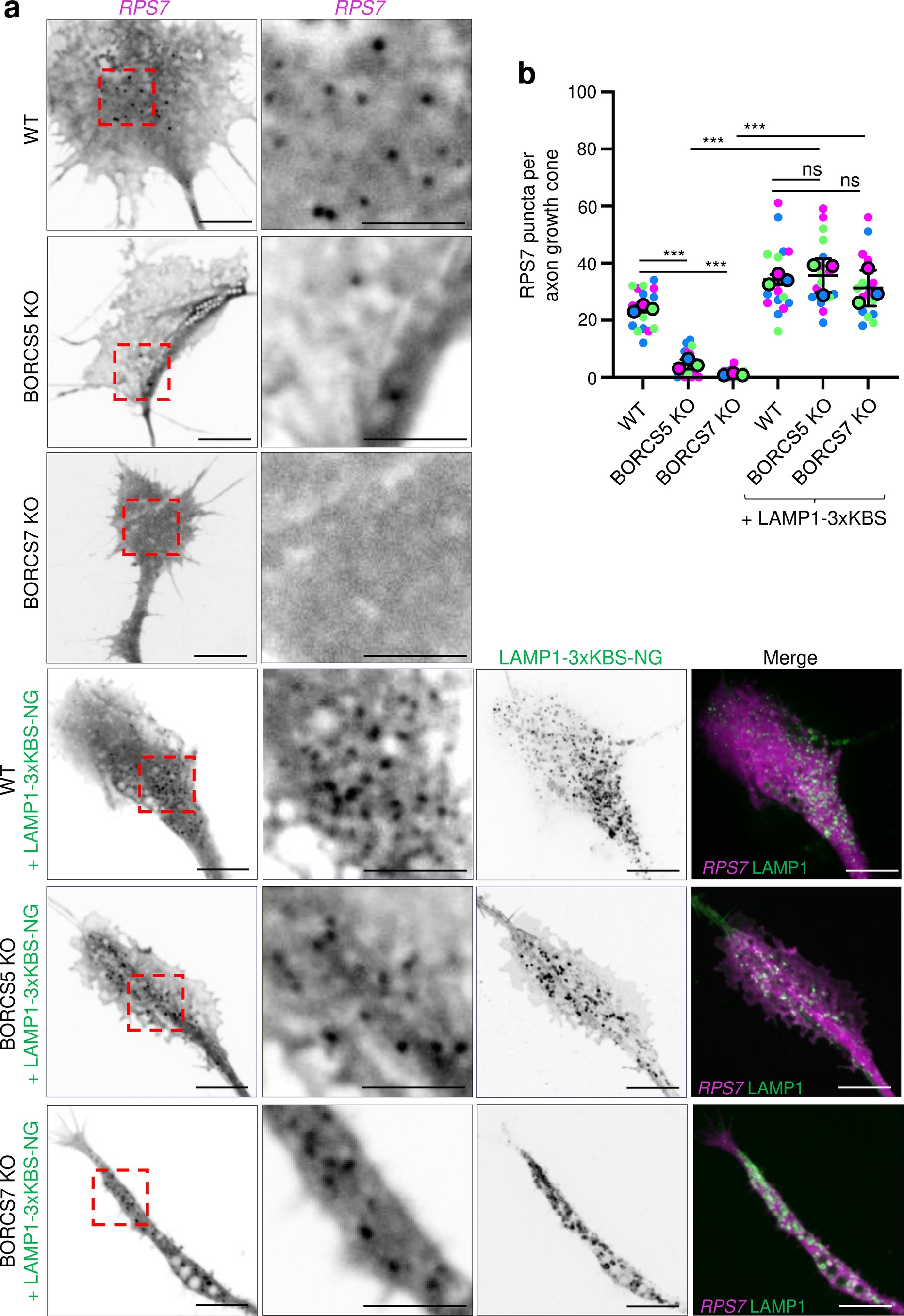 Extended Data Fig. 6