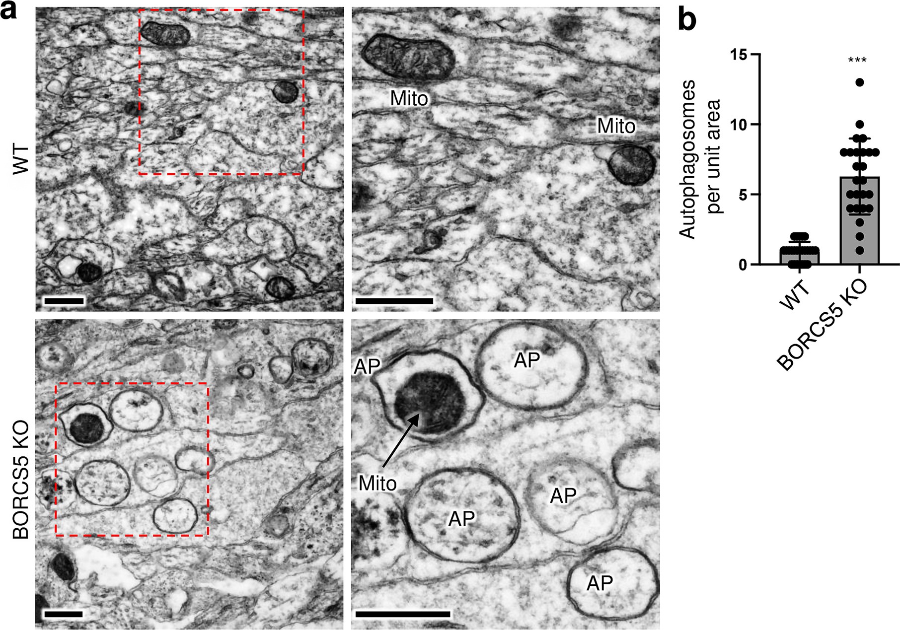 Extended Data Fig. 10