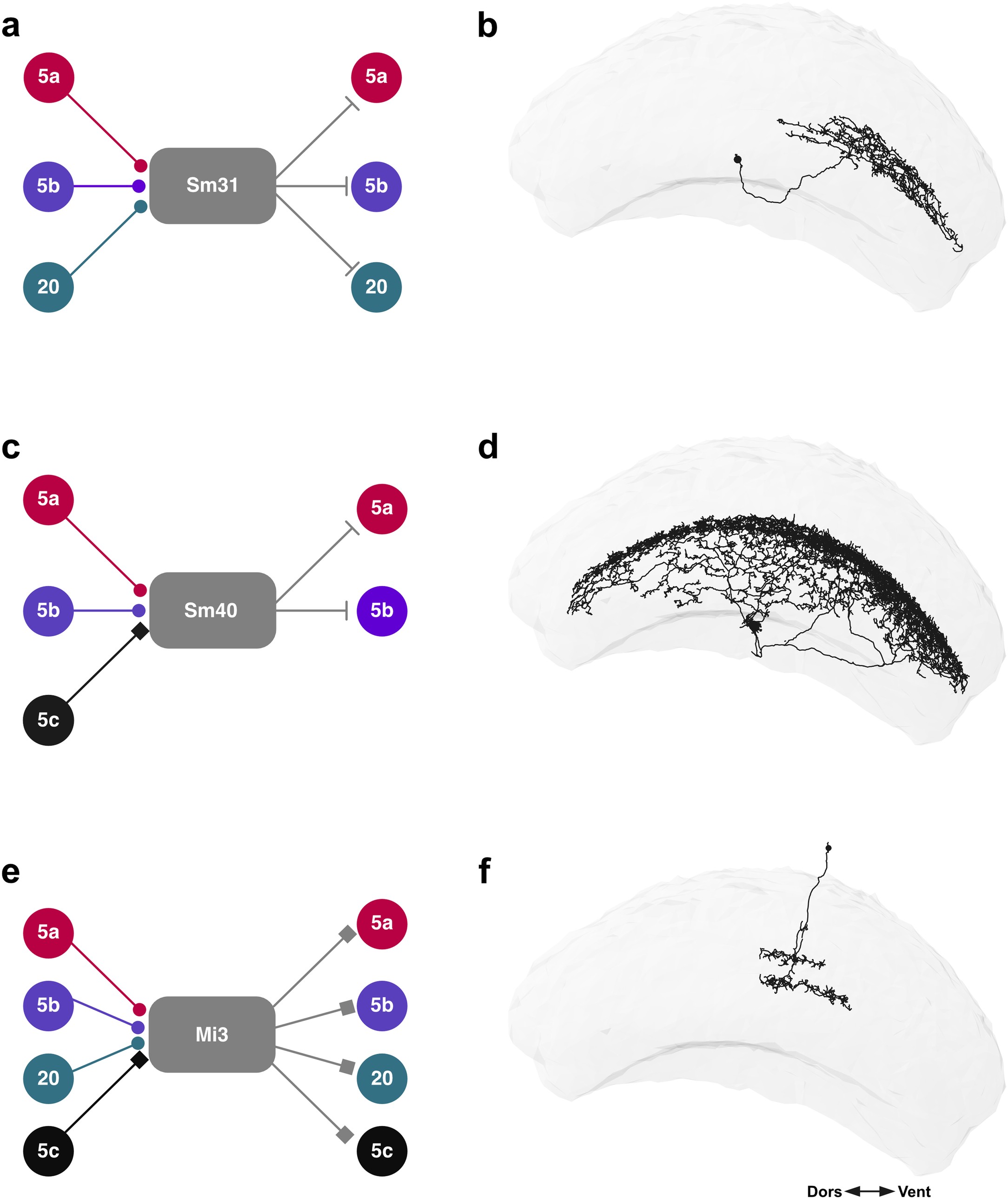 Extended Data Fig. 5